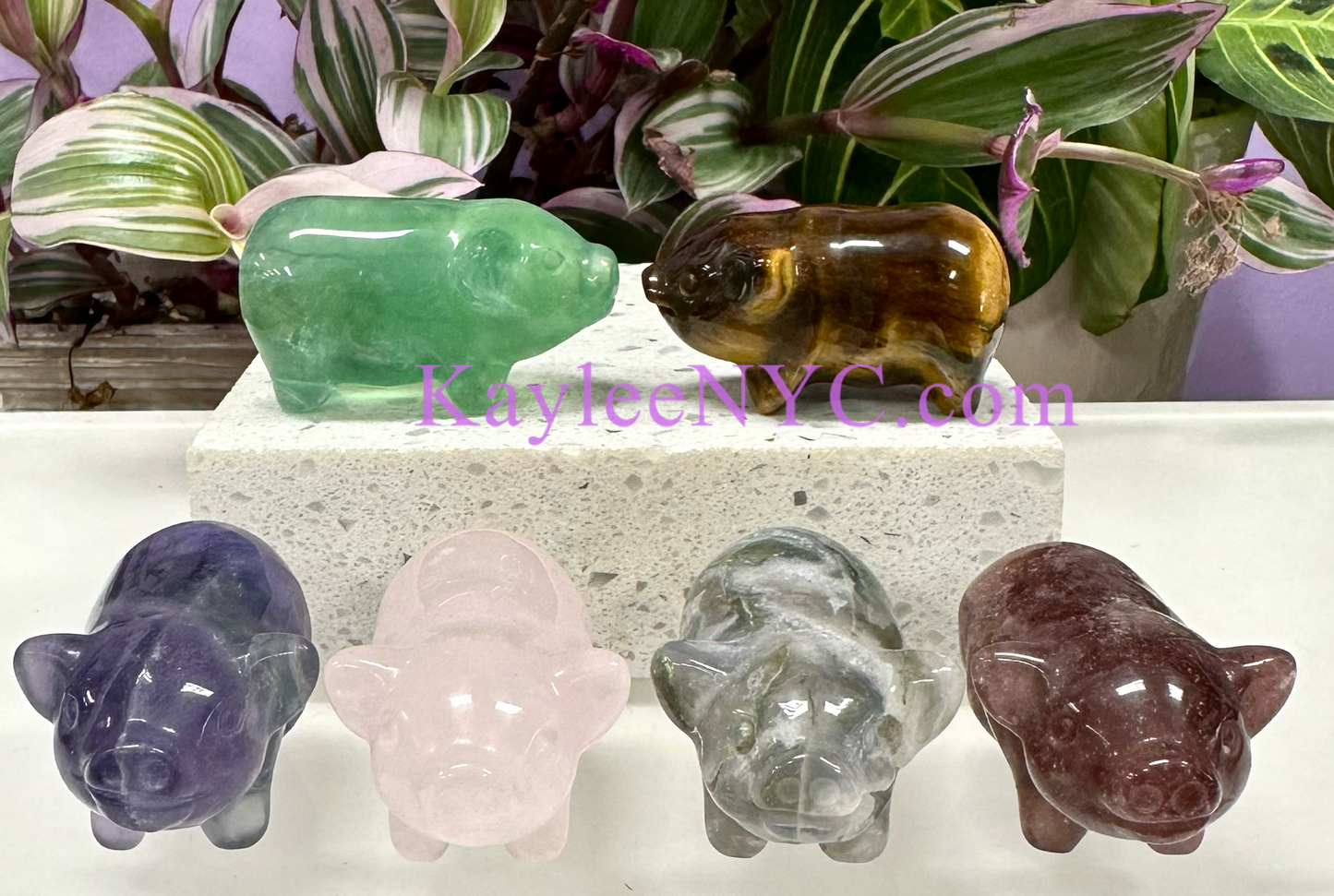 6 PCs 2” Natural Mix Crystals Pigs Healing Energy