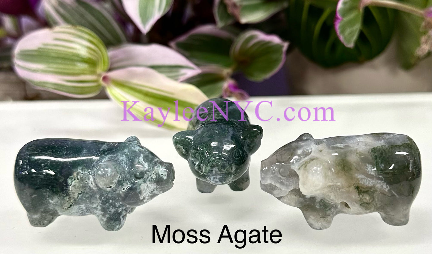 6 PCs 2” Natural Mix Crystals Pigs Healing Energy