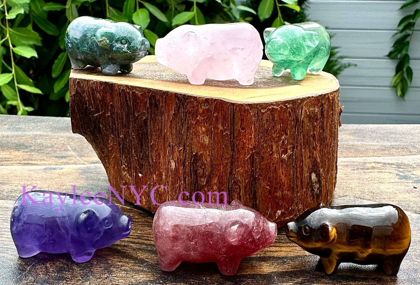 6 PCs 2” Natural Mix Crystals Pigs Healing Energy