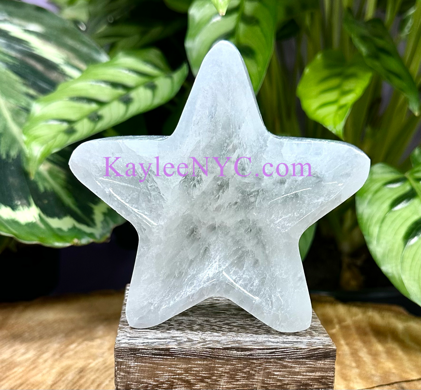 6 PCs large Natural Selenite aka Satin Spar Star Bowl ~10cm