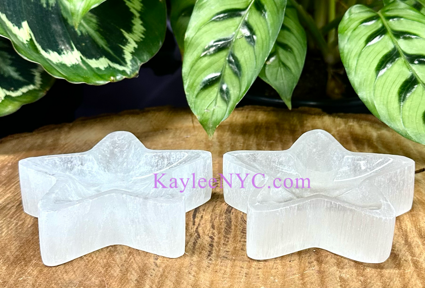 6 PCs large Natural Selenite aka Satin Spar Star Bowl ~10cm