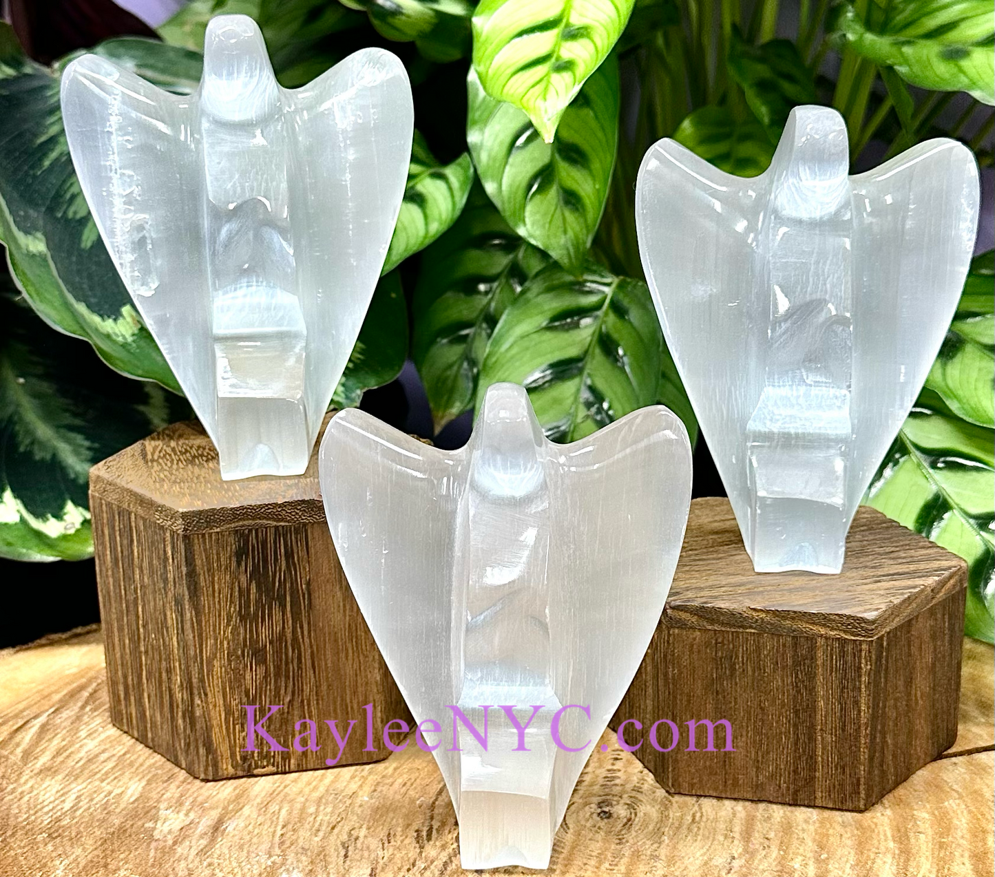 6 PCs large Natural Selenite aka Satin Spar Angel ~12cm