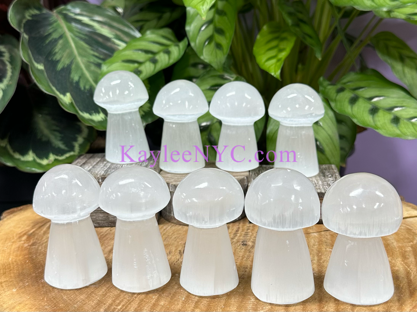 Wholesale Lot 9 pcs Natural Selenite aka Satin Spar Mushroom Healing Energy