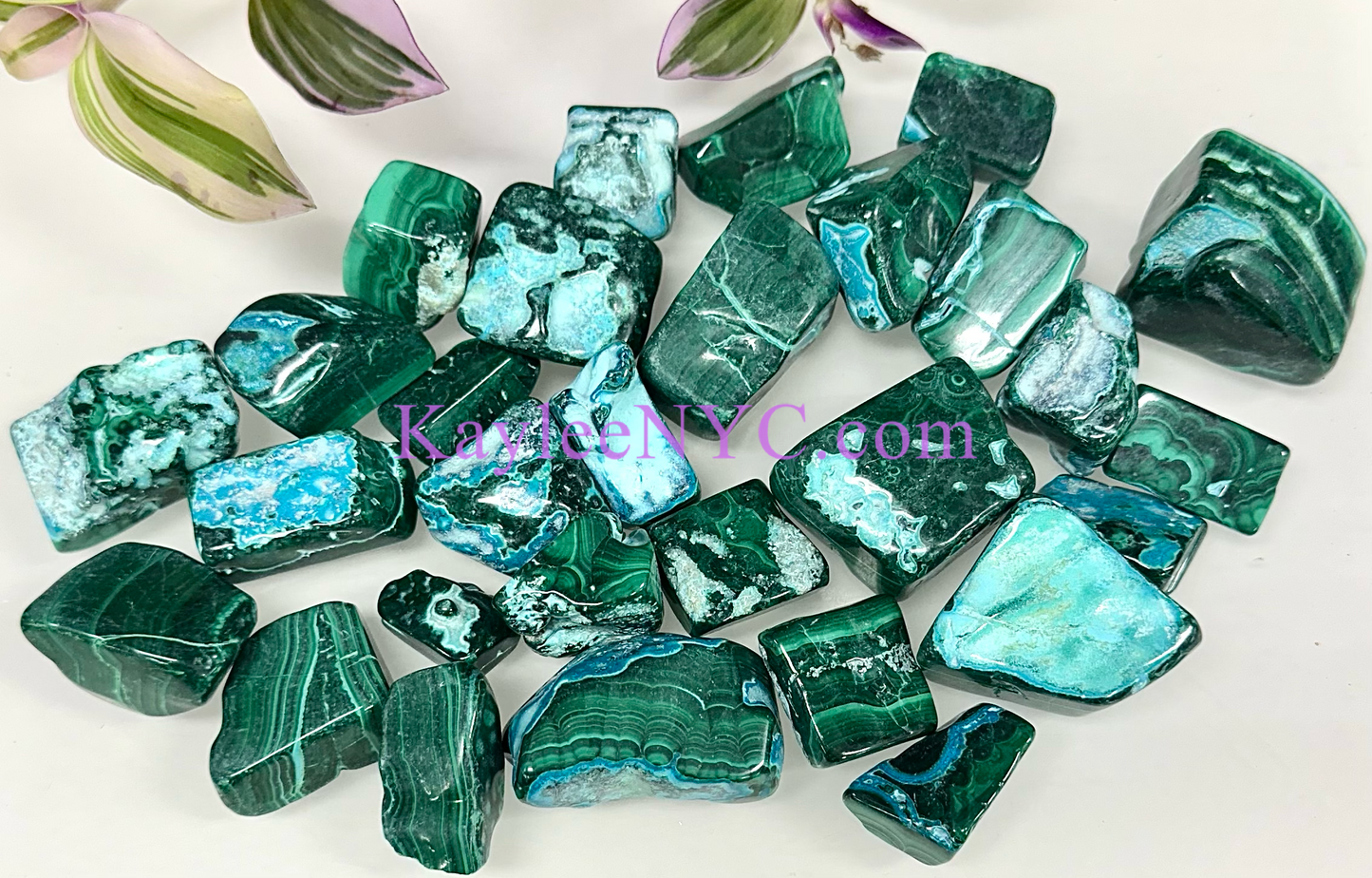 2 lbs Natural Chrysocolla Malachite Tumble Crystals healing energy