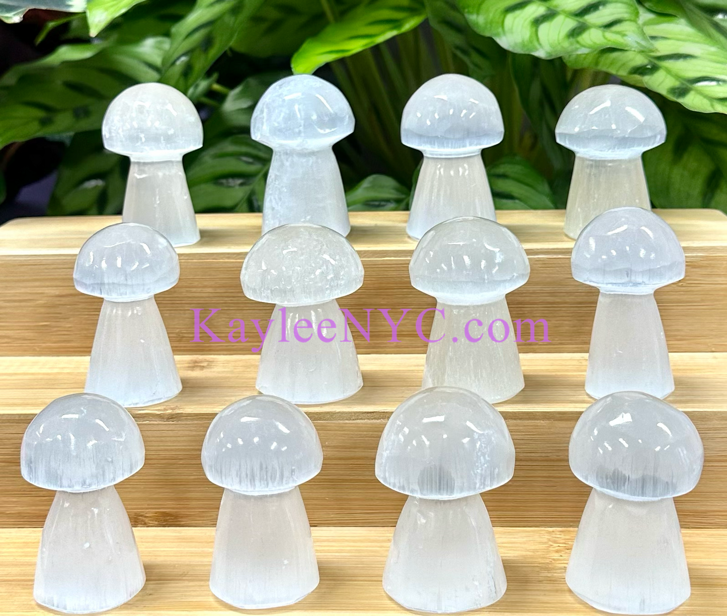 Wholesale Lot 12 pcs Natural Selenite aka Satin Spar Mushroom ~6cm