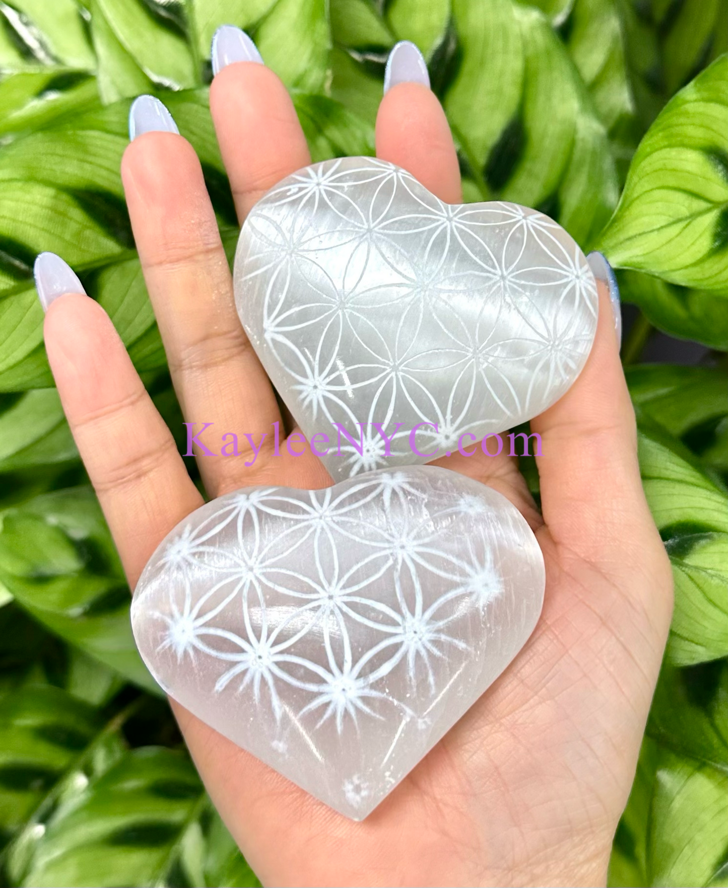 12 PCs large Natural Selenite aka Satin Spar Heart ~6cm