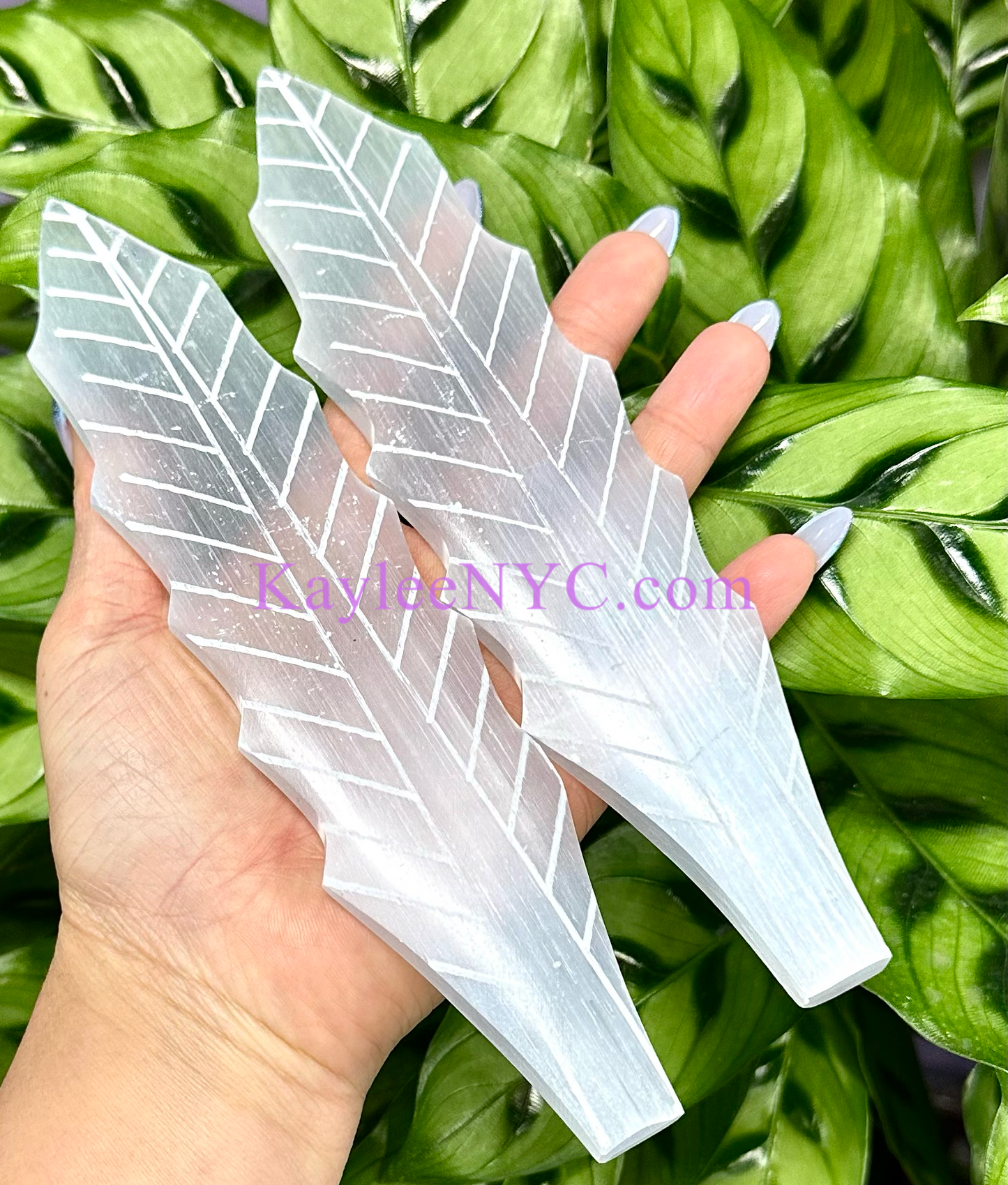 Wholesale Lot 6 pcs Natural Selenite aka Satin Spar leaf ~20cm