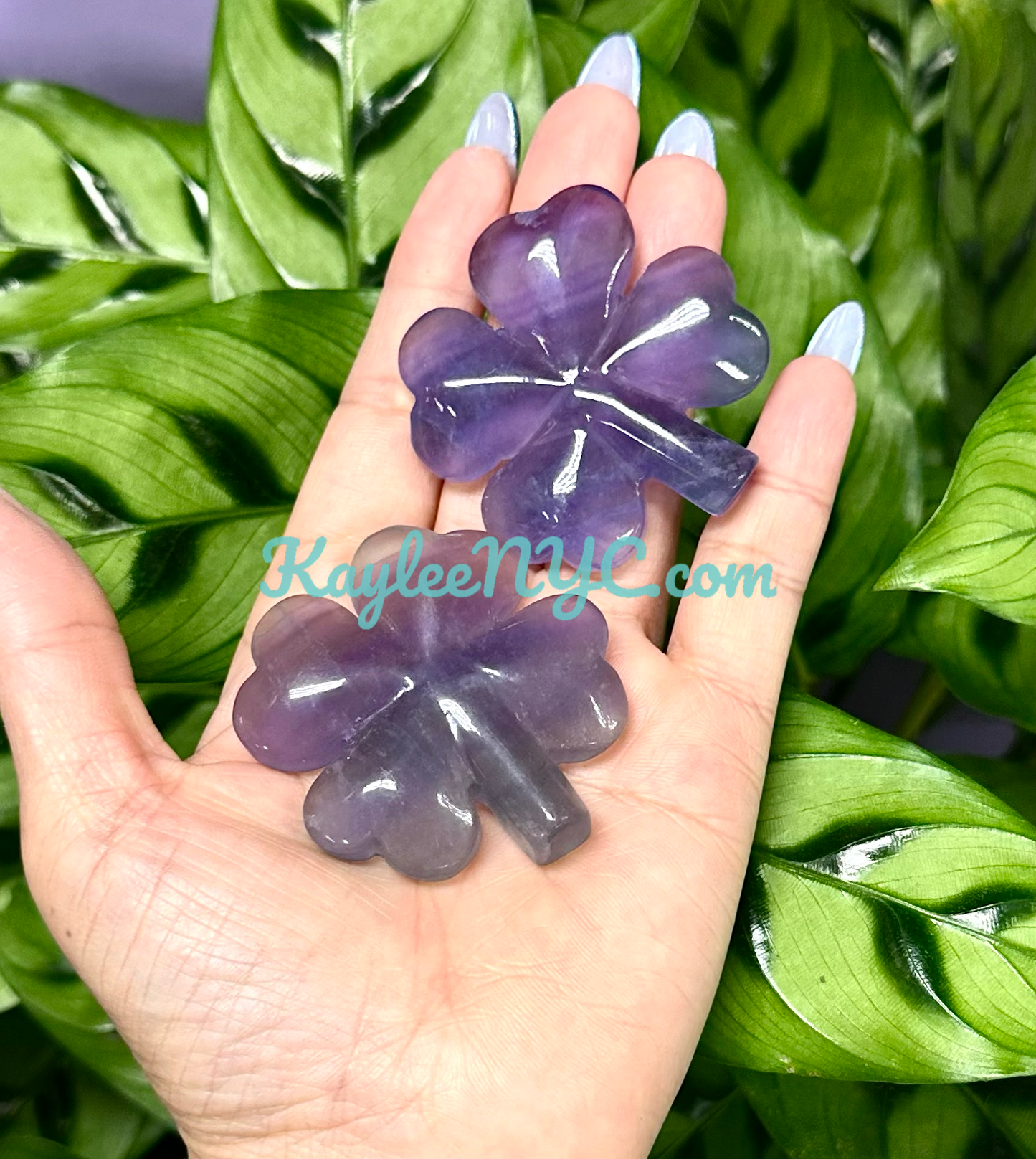 8 PCs 2” Natural Purple Fluorite 4 Leaf Clove