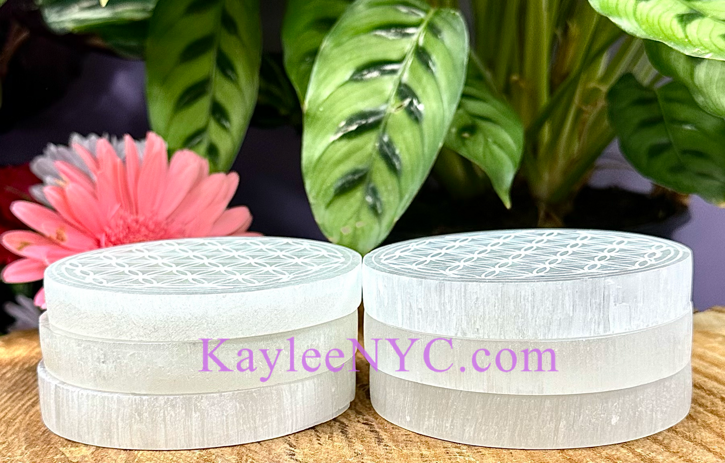 Wholesale Lot 6 pcs Natural Selenite aka Satin Spar Round Charging Plate Crystal Healing Energy