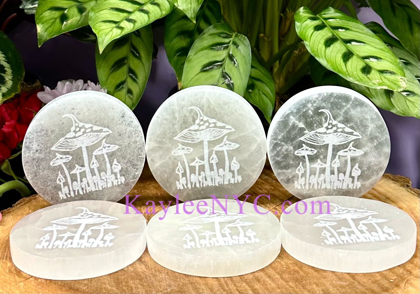 Wholesale Lot 6 pcs Natural Selenite aka Satin Spar Mushroom Round Charging Plate Crystal