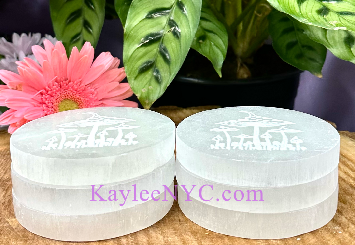 Wholesale Lot 6 pcs Natural Selenite aka Satin Spar Mushroom Round Charging Plate Crystal