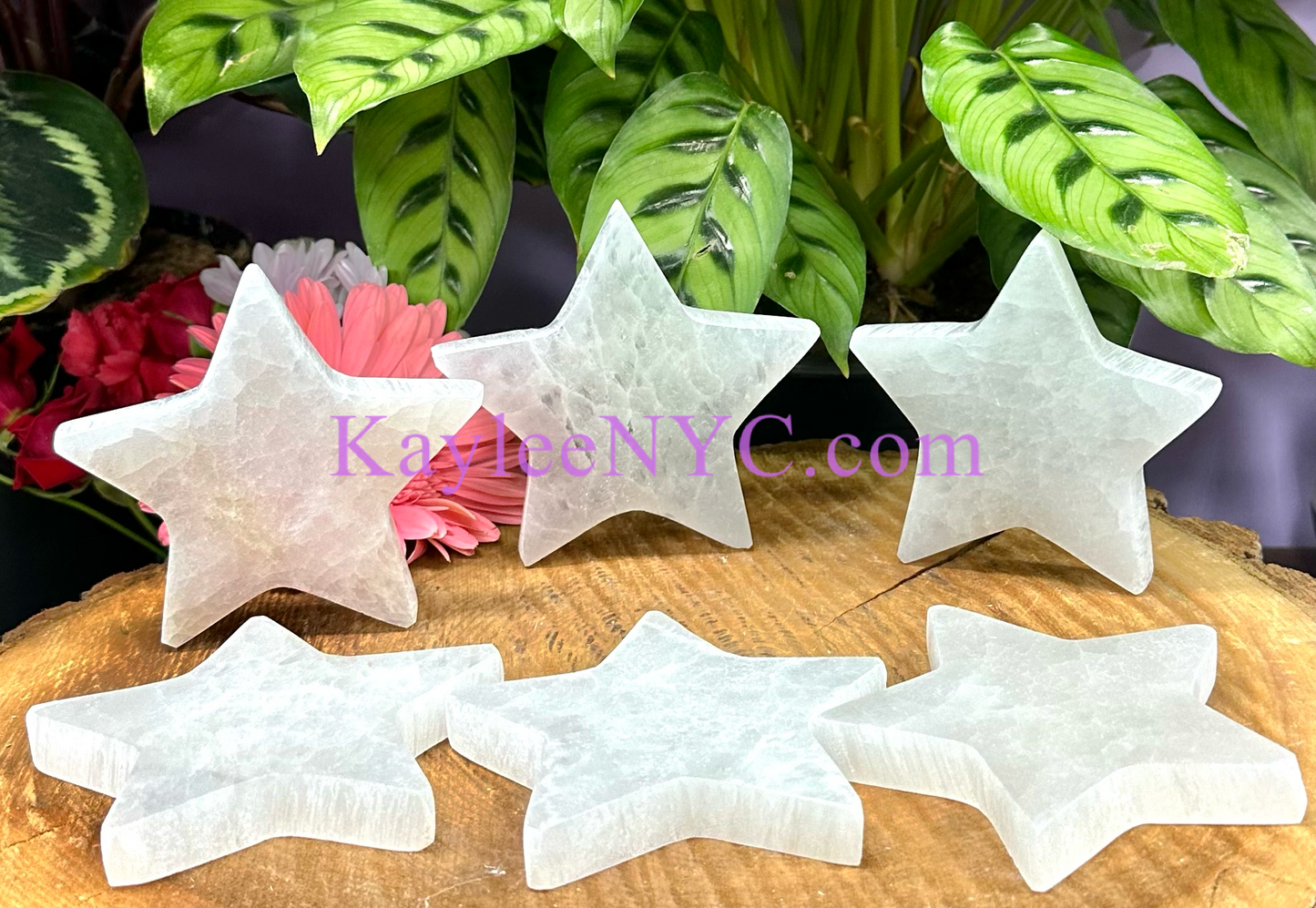 Wholesale Lot 6 pcs Natural Selenite aka Satin Spar Star Charging Plate Crystal