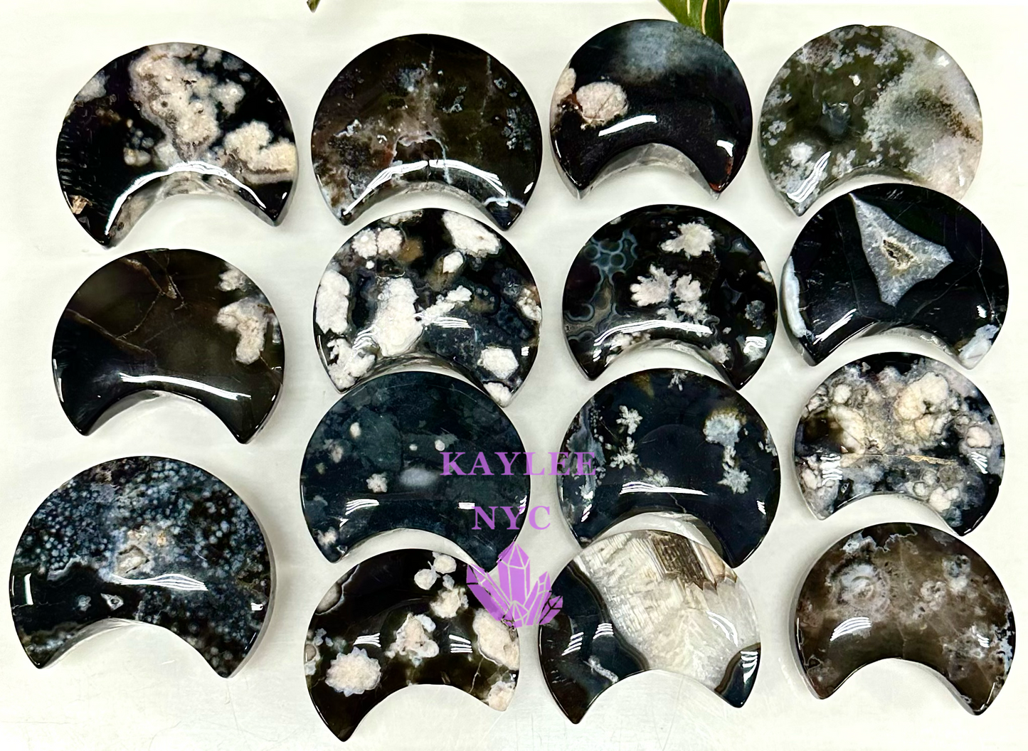 Wholesale Lot 2 lbs Natural Black Flower Agate Moon