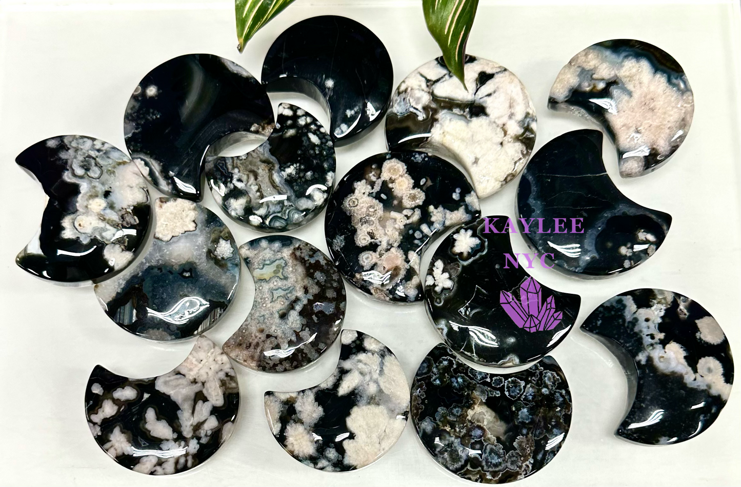 Wholesale Lot 2 lbs Natural Black Flower Agate Moon