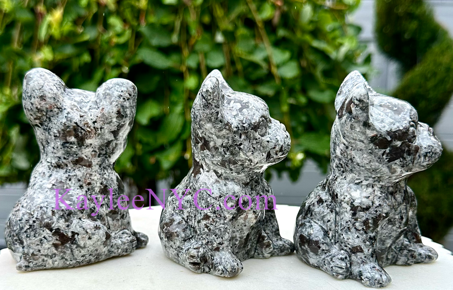 3 PCs Natural Yooperlite aka Emberlite Dogs Crystals Healing Energy