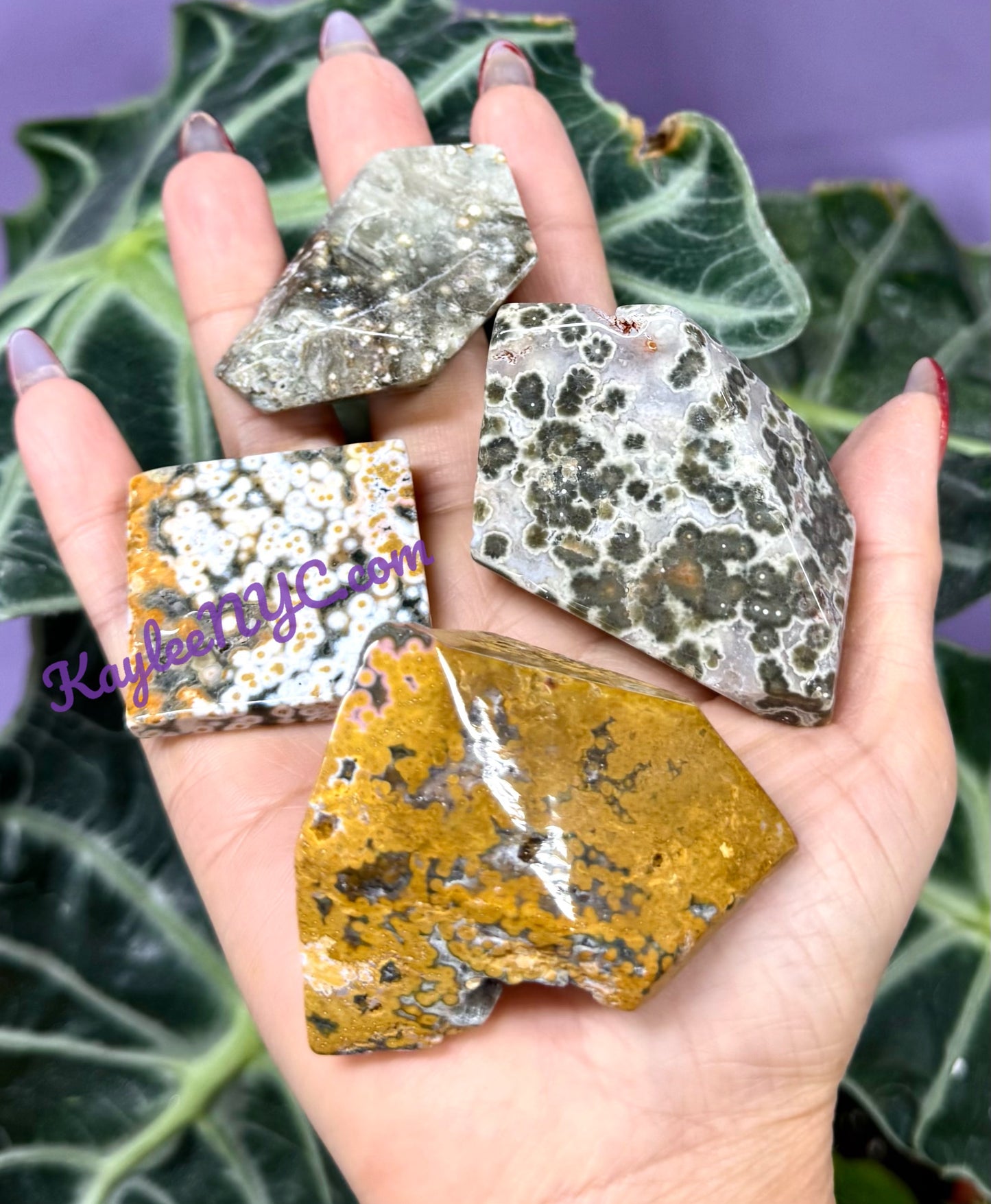 2 lbs Natural Ocean Jasper Tumble