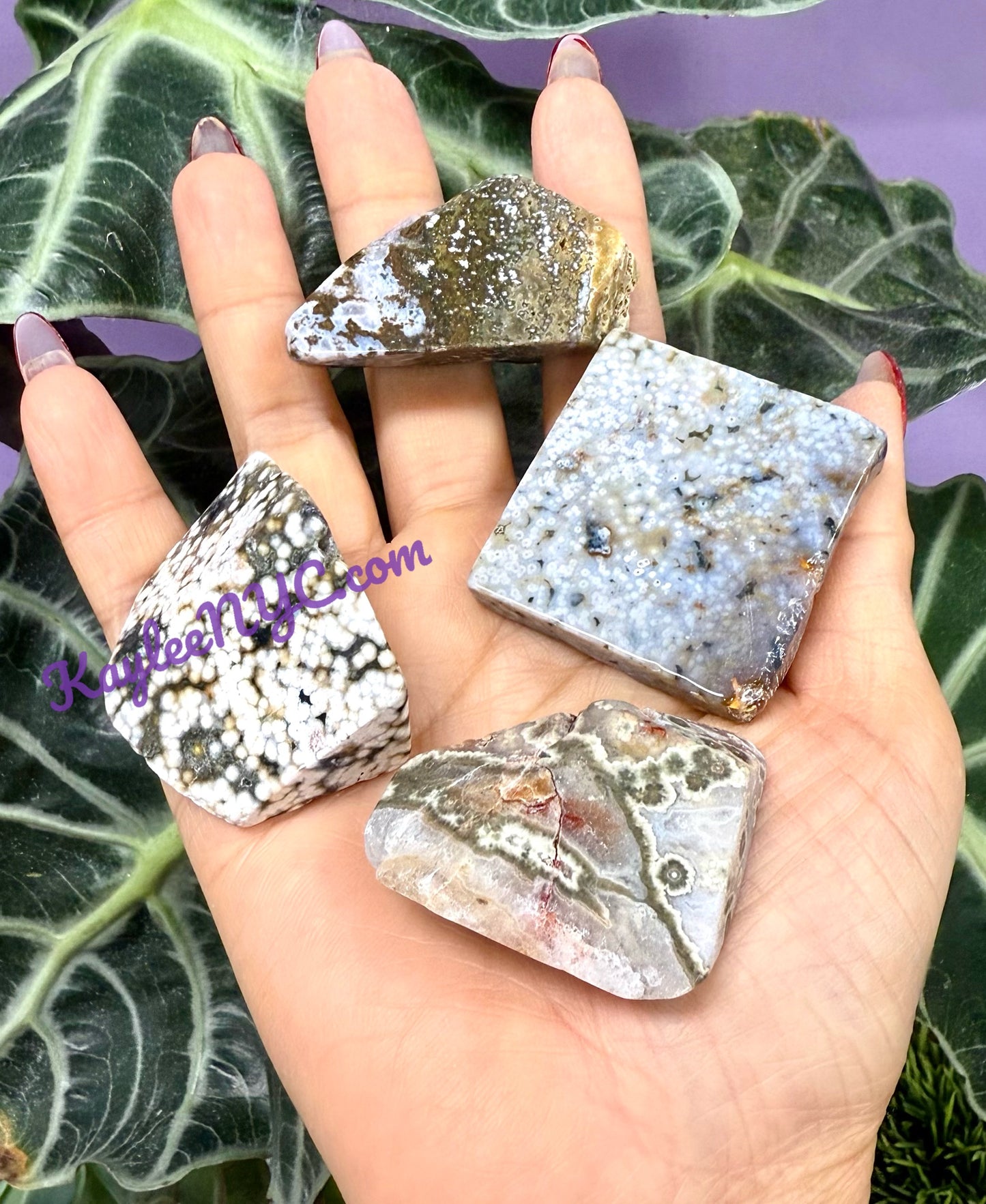 2 lbs Natural Ocean Jasper Tumble