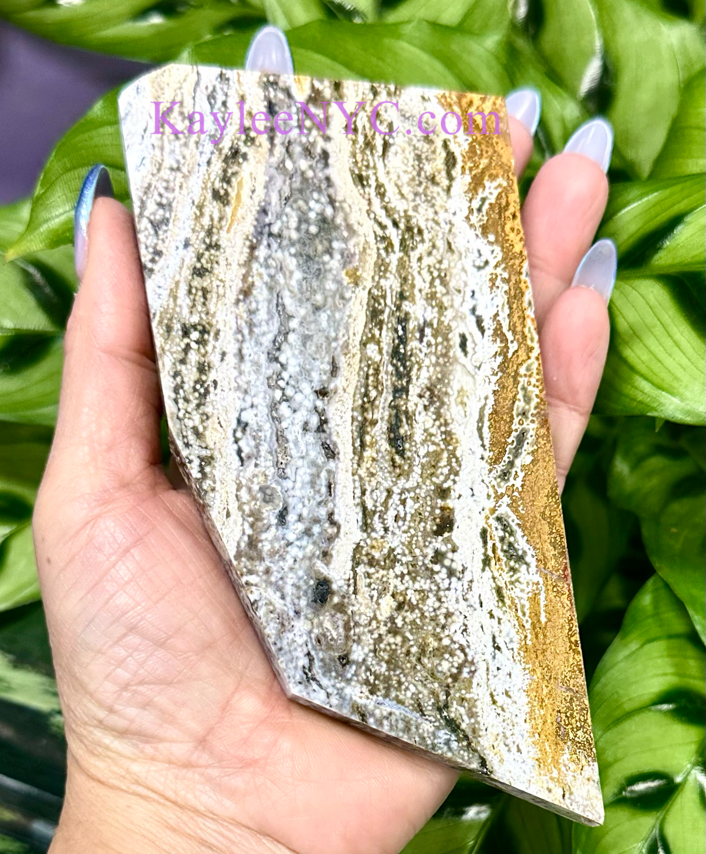 2 lbs Natural Ocean Jasper Slab