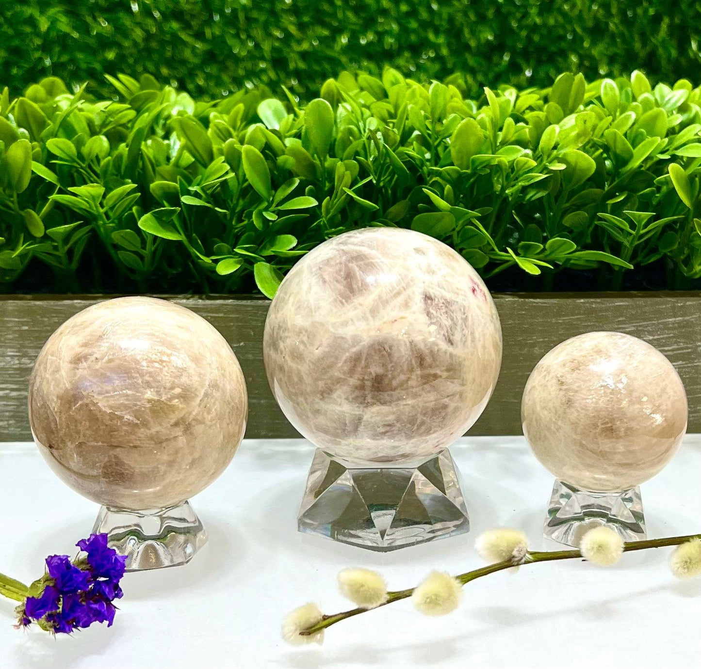 Wholesale Lot 2-3 Pcs Natural Moonstone Spheres Crystal Ball 1.9-2 Lb Healing Energy