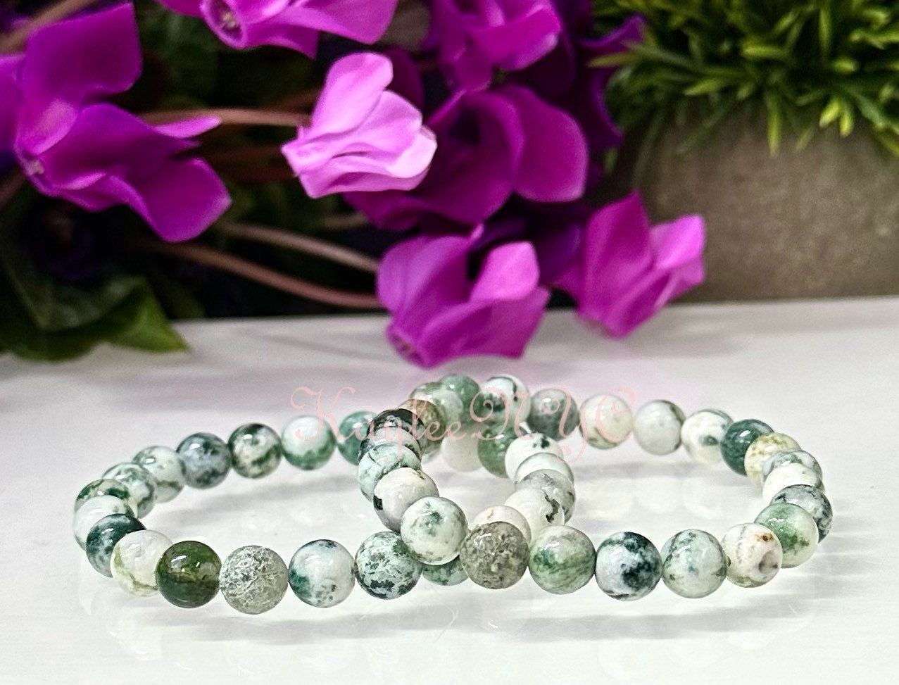 Wholesale 6 Pcs Natural Tree Agate 8mm 7.5” Crystal Healing Stretch Bracelet