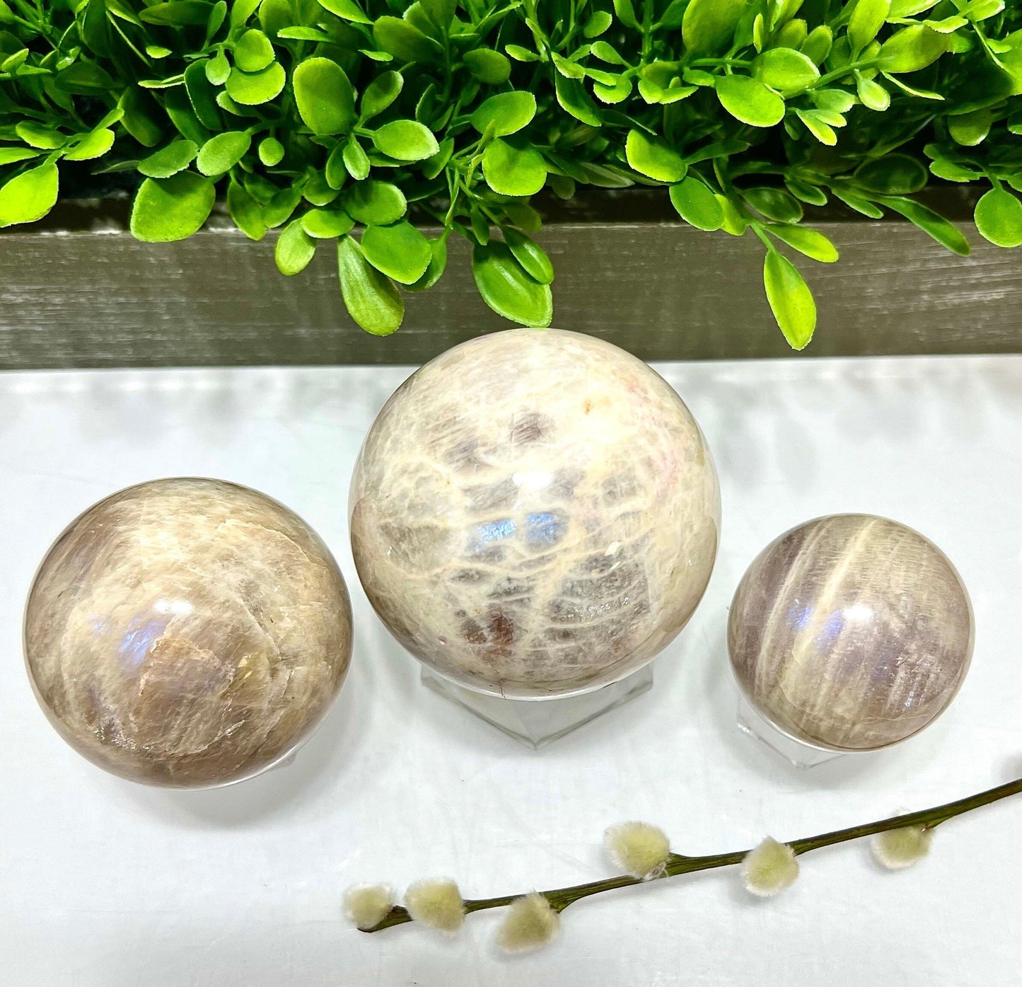 Wholesale Lot 2-3 Pcs Natural Moonstone Spheres Crystal Ball 1.9-2 Lb Healing Energy