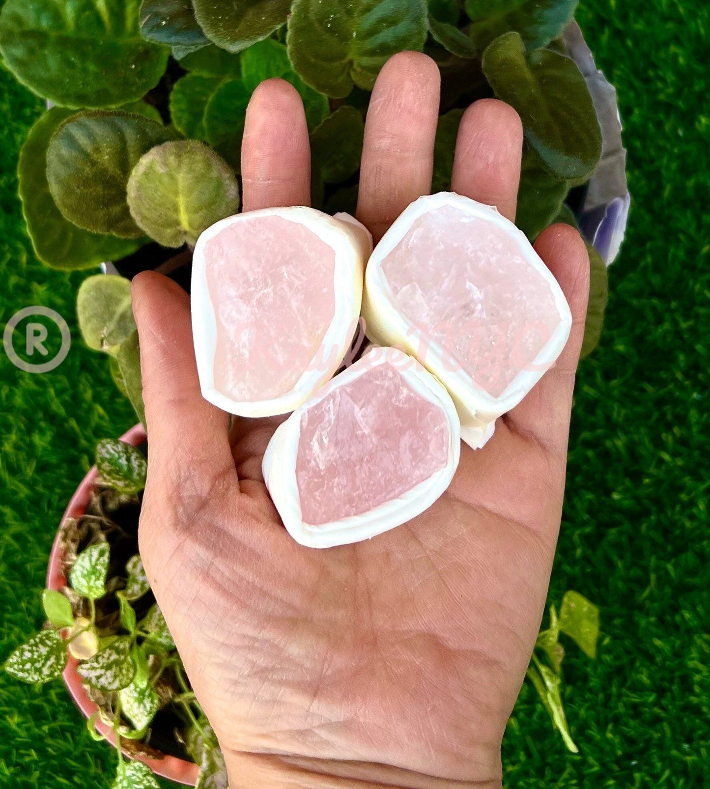 Wholesale Lot 3 boxes Natural Rose Quartz Raw Crystal Nice Quality Healing Energy