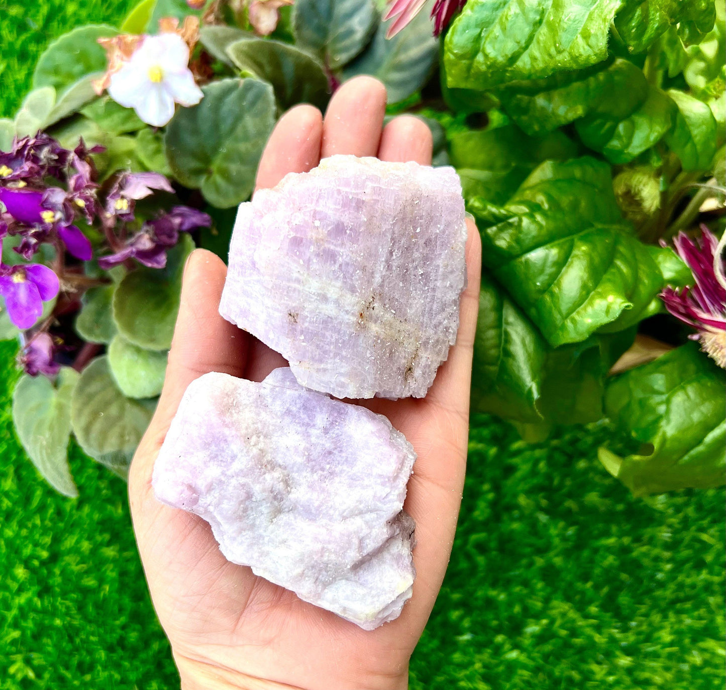 Wholesale Lot 2 lb Natural Kunzite Crystal Raw Nice Quality