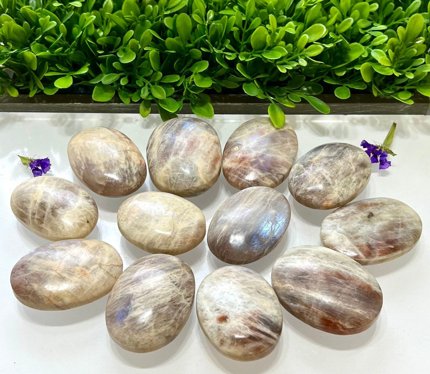 Wholesale Lot 2 Lbs Natural Moonstone Palm Stone Crystal Healing Energy