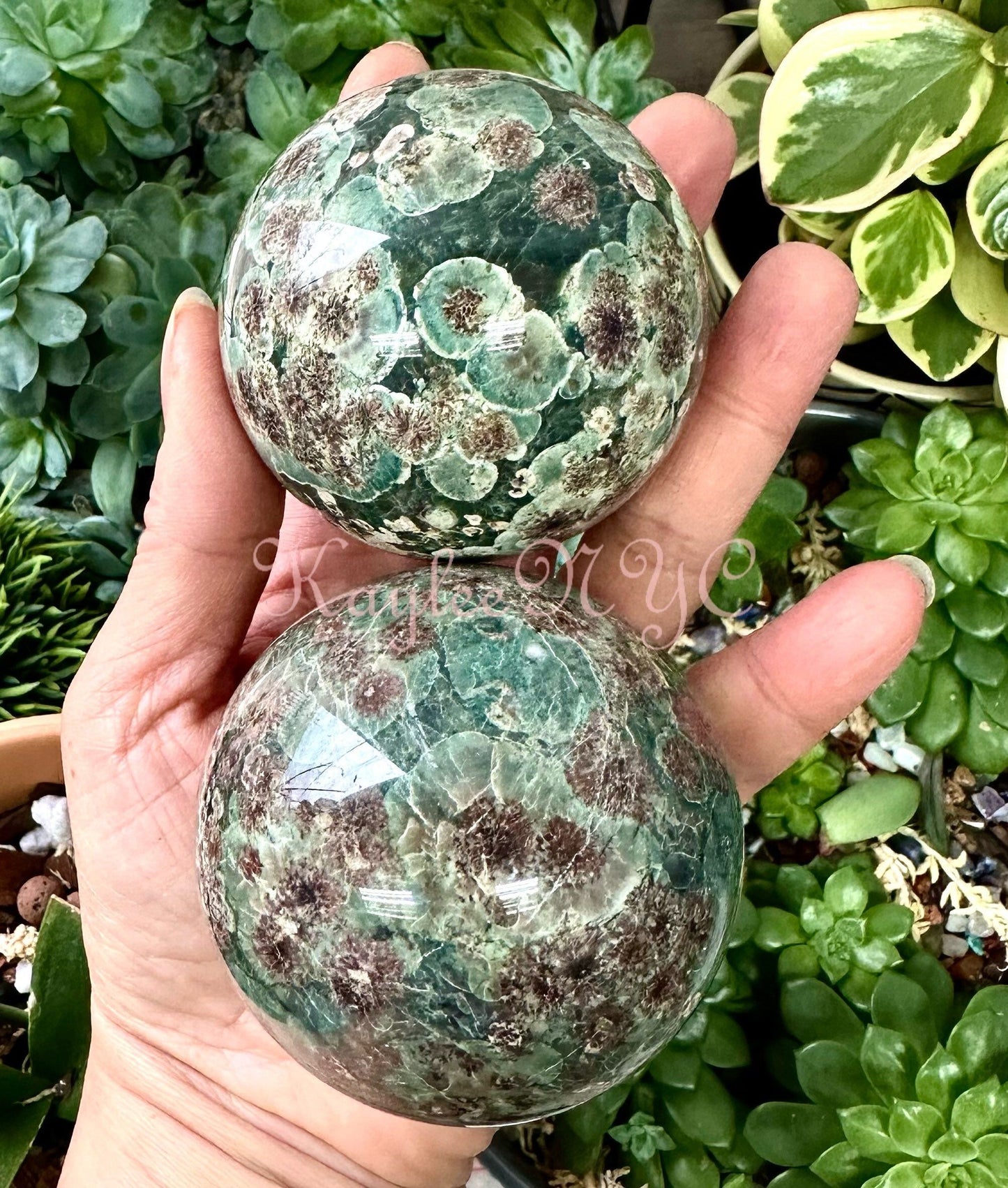 Wholesale Lot 5 Pcs 3.8 to 4 lbs Natural Green Flower Jasper Spheres Crystal Ball nice quality