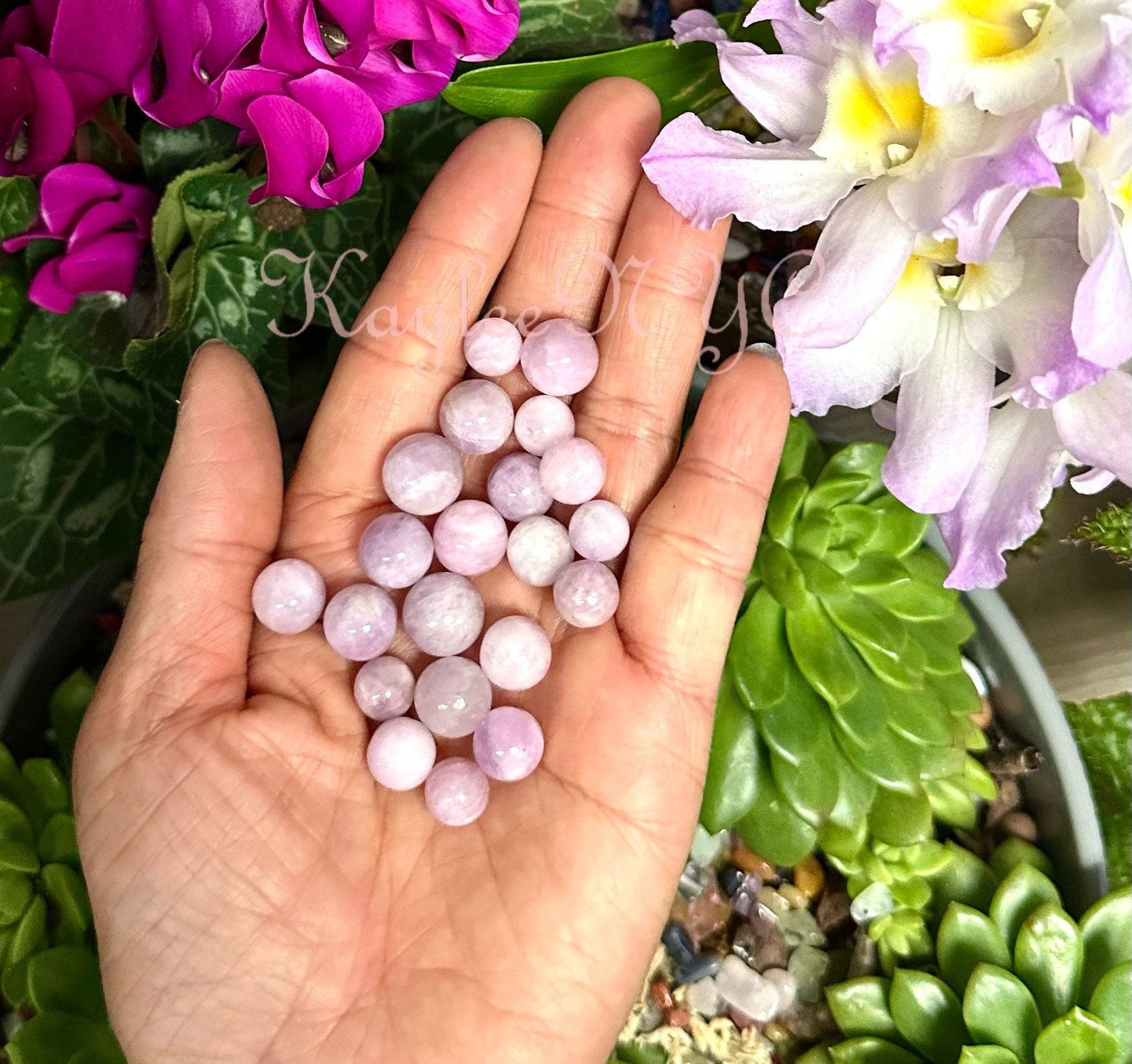 Wholesale Lot 0.5 lb Natural Kunzite Spheres Crystal Ball Energy Healing