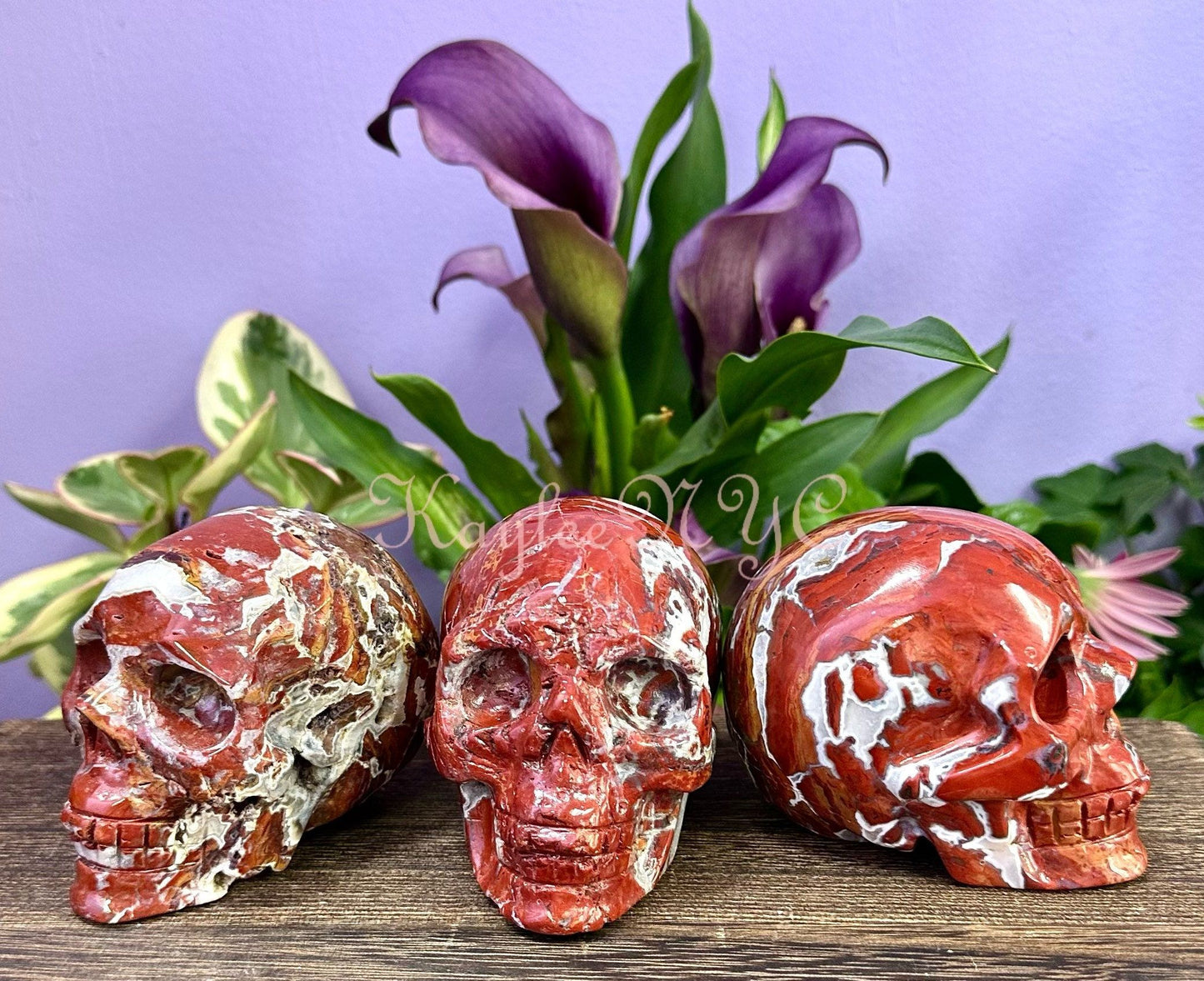 Wholesale lot 3 Pcs Natural Red Agate Crystal Skull