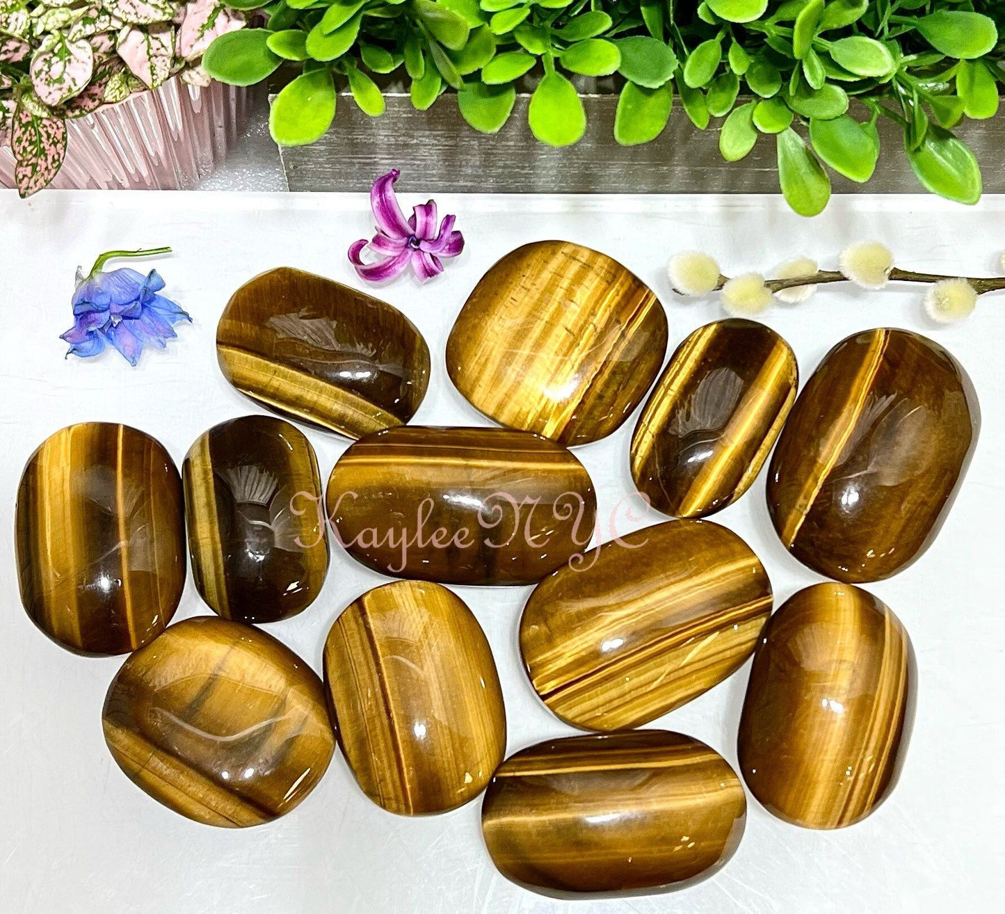 Wholesale Lot 2 Lbs Natural Tiger Eye Palm Stone Crystal Nice Quality