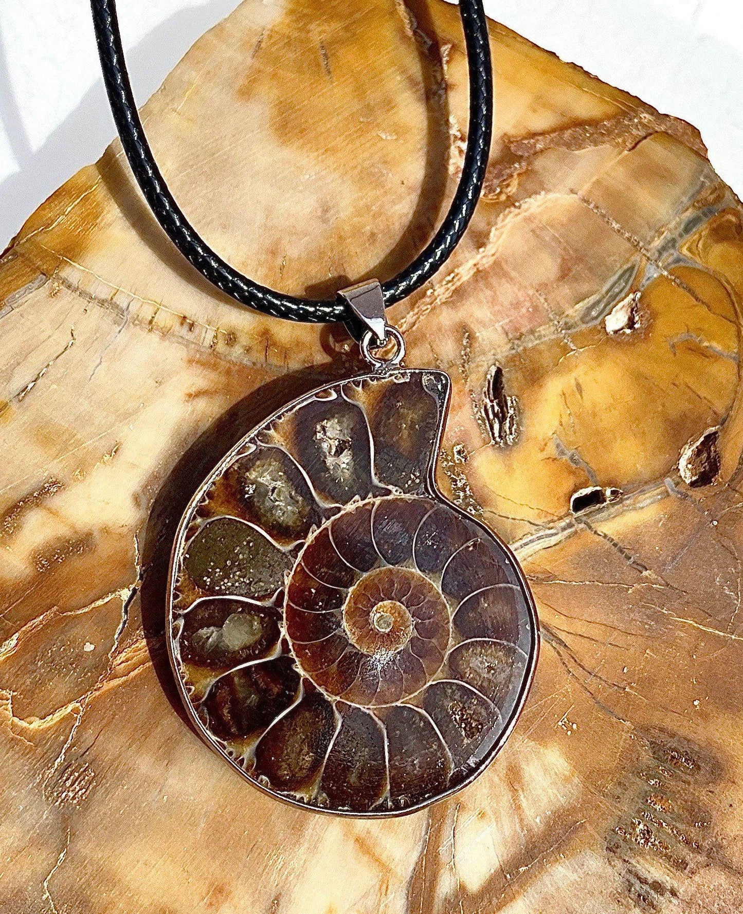 Wholesale Lot 6 Pcs Natural Ammonite Pendant Healing Crystal Energy