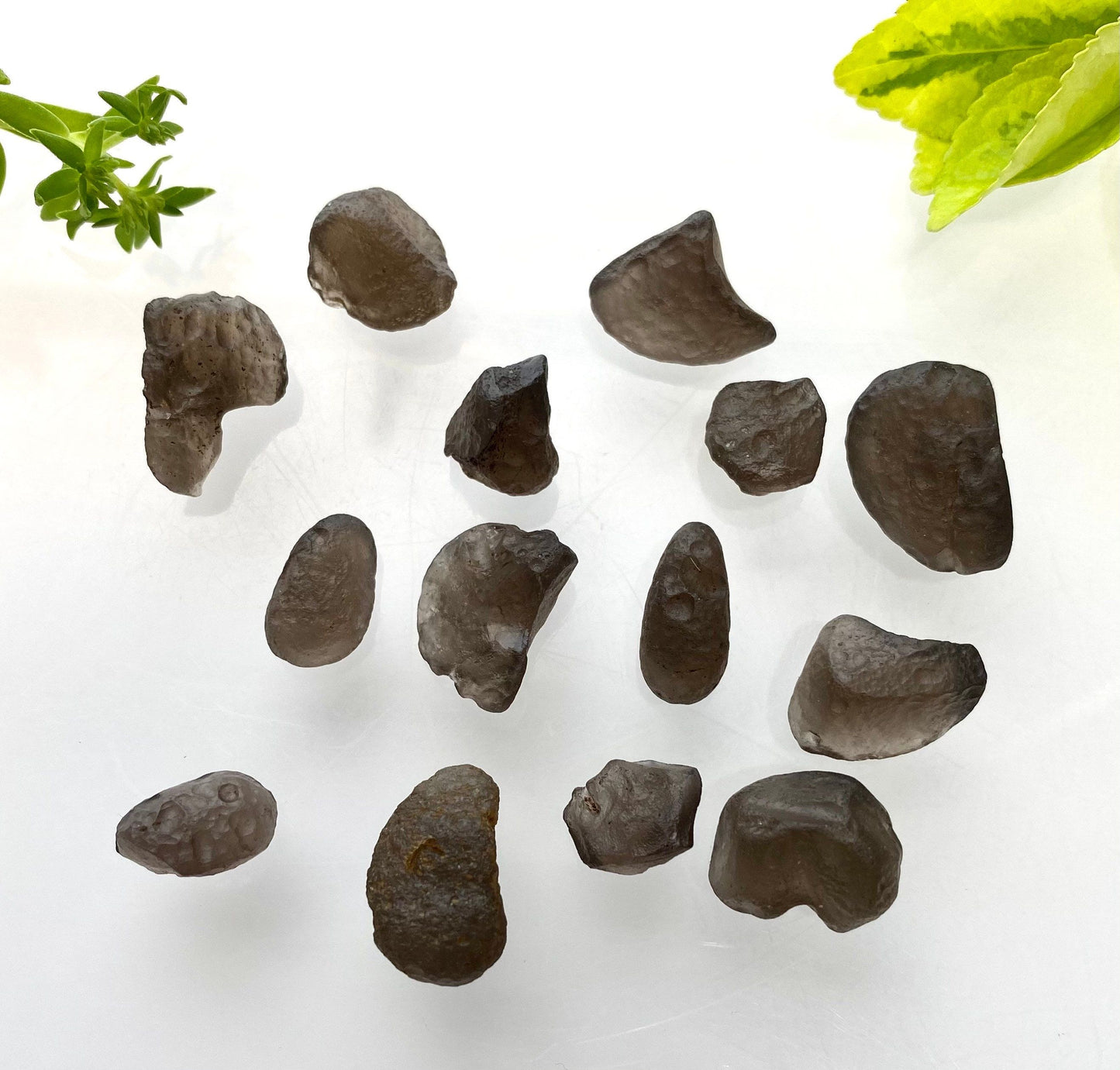 Wholesale Lot Natural Colombianite Colombian Tektite 40 gram 16 to 24 pcs Healing Energy