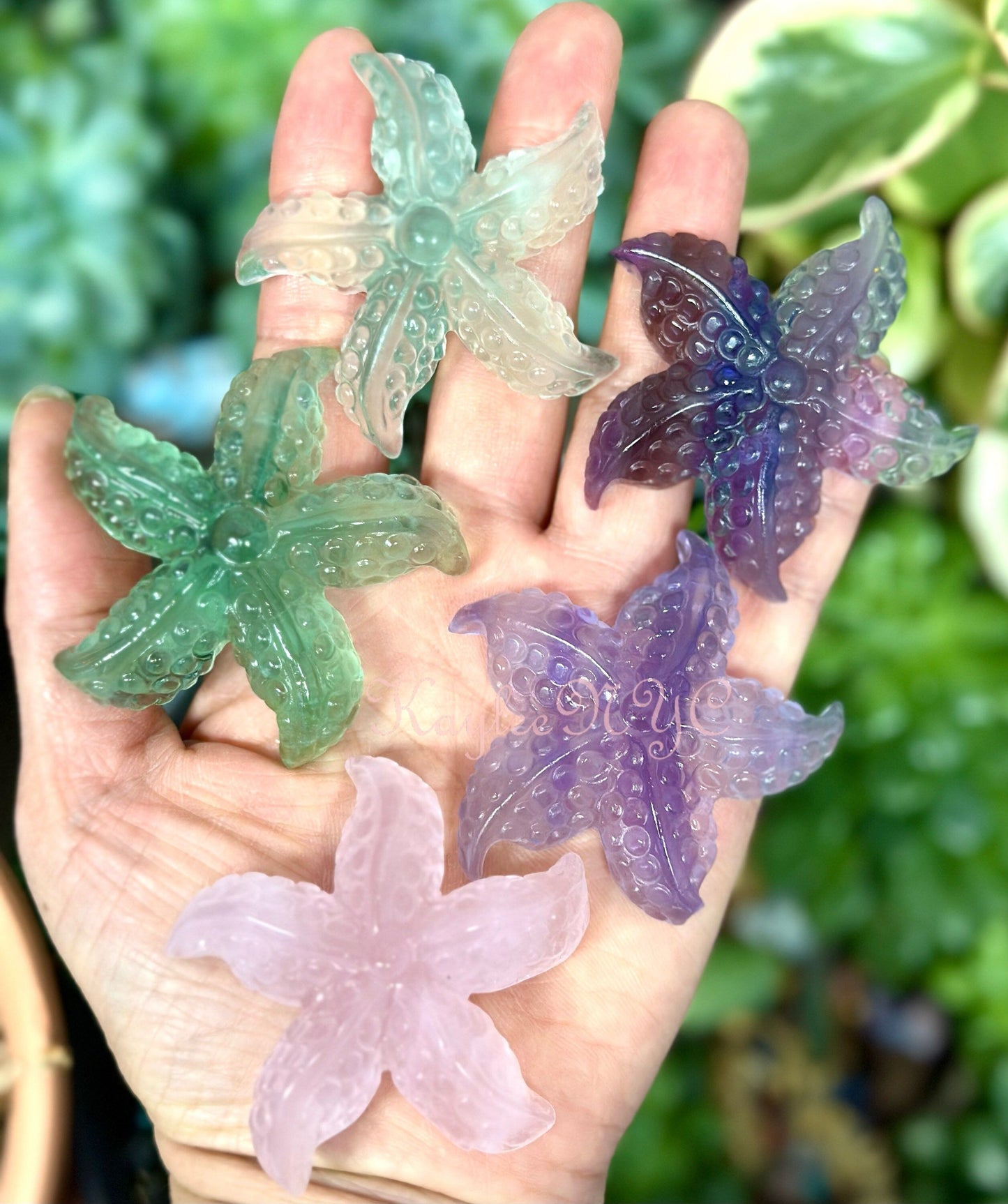 Wholesale Lot 10 PCs Natural Rose Quartz and Fluorite Starfishes Nice Quality Crystal Healing Energy