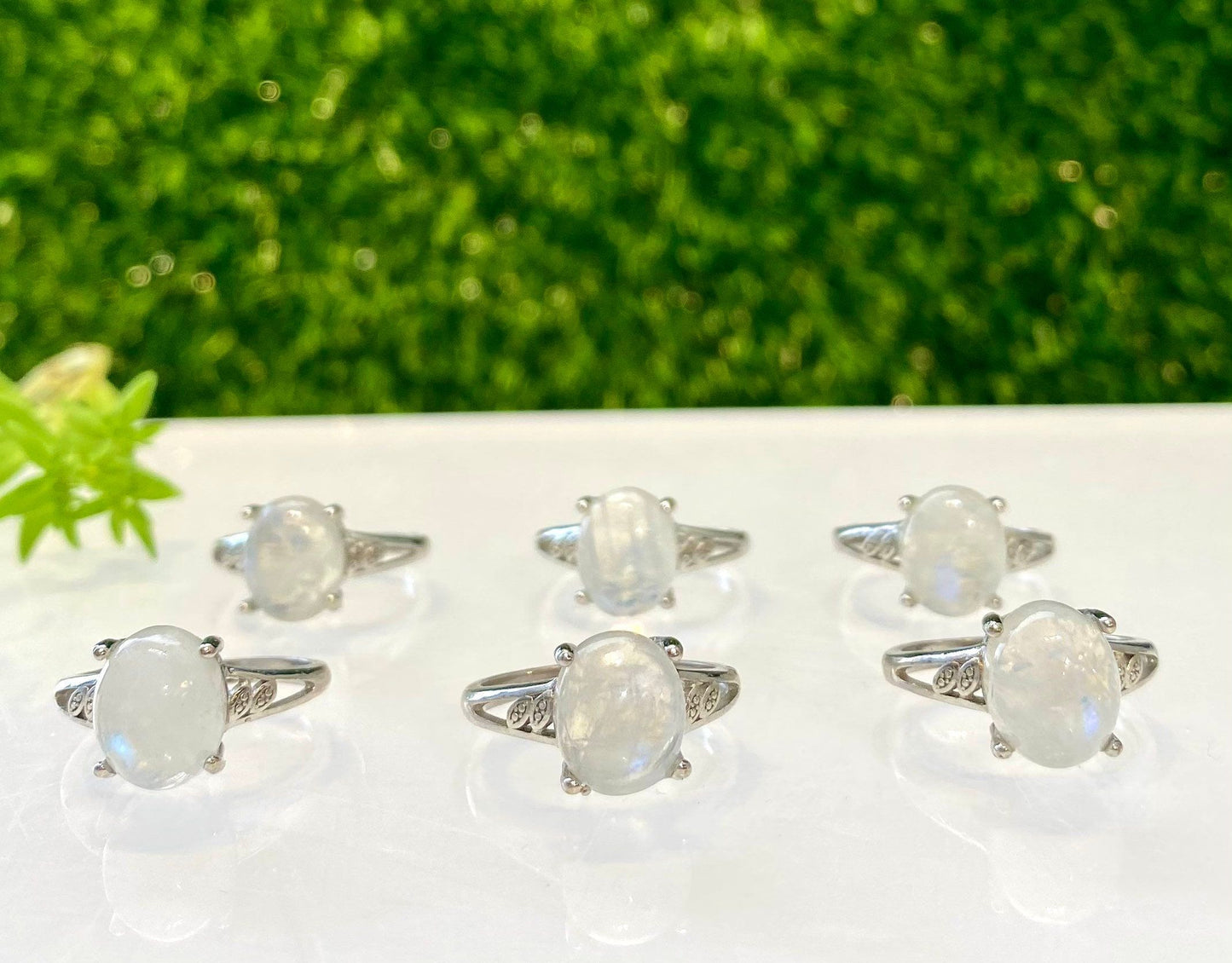 Wholesale Lot 6 pcs Natural Moonstone Ring White Bronze