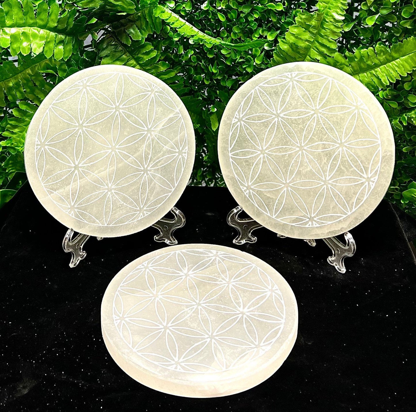 Wholesale Lot 3 pcs 5.8” Natural Selenite aka Satin Spar Round Charging Plate Crystal Healing Energy