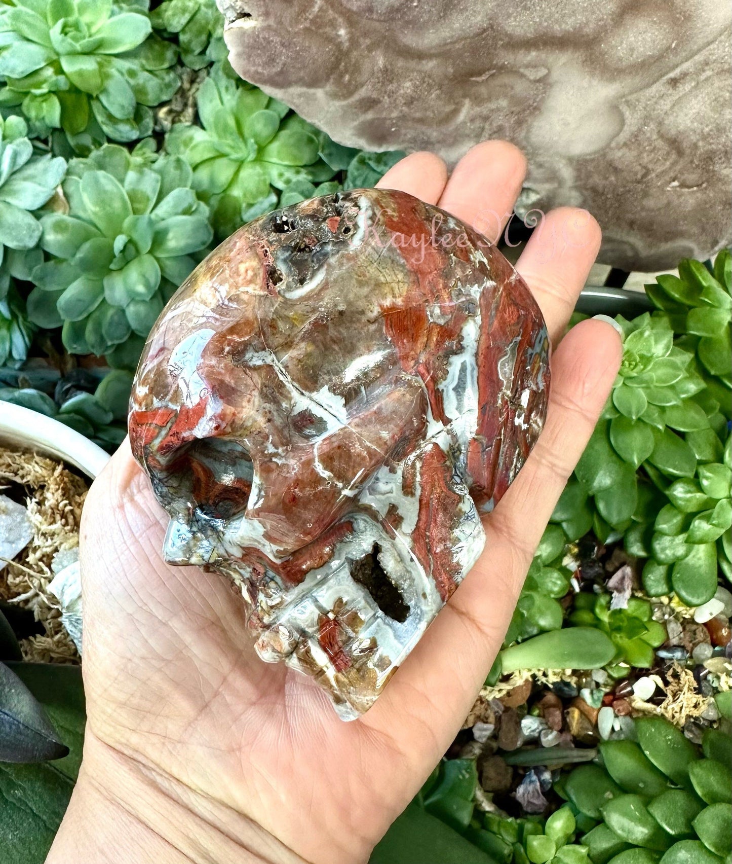 Wholesale lot 3 Pcs Natural Red Agate Crystal Skull