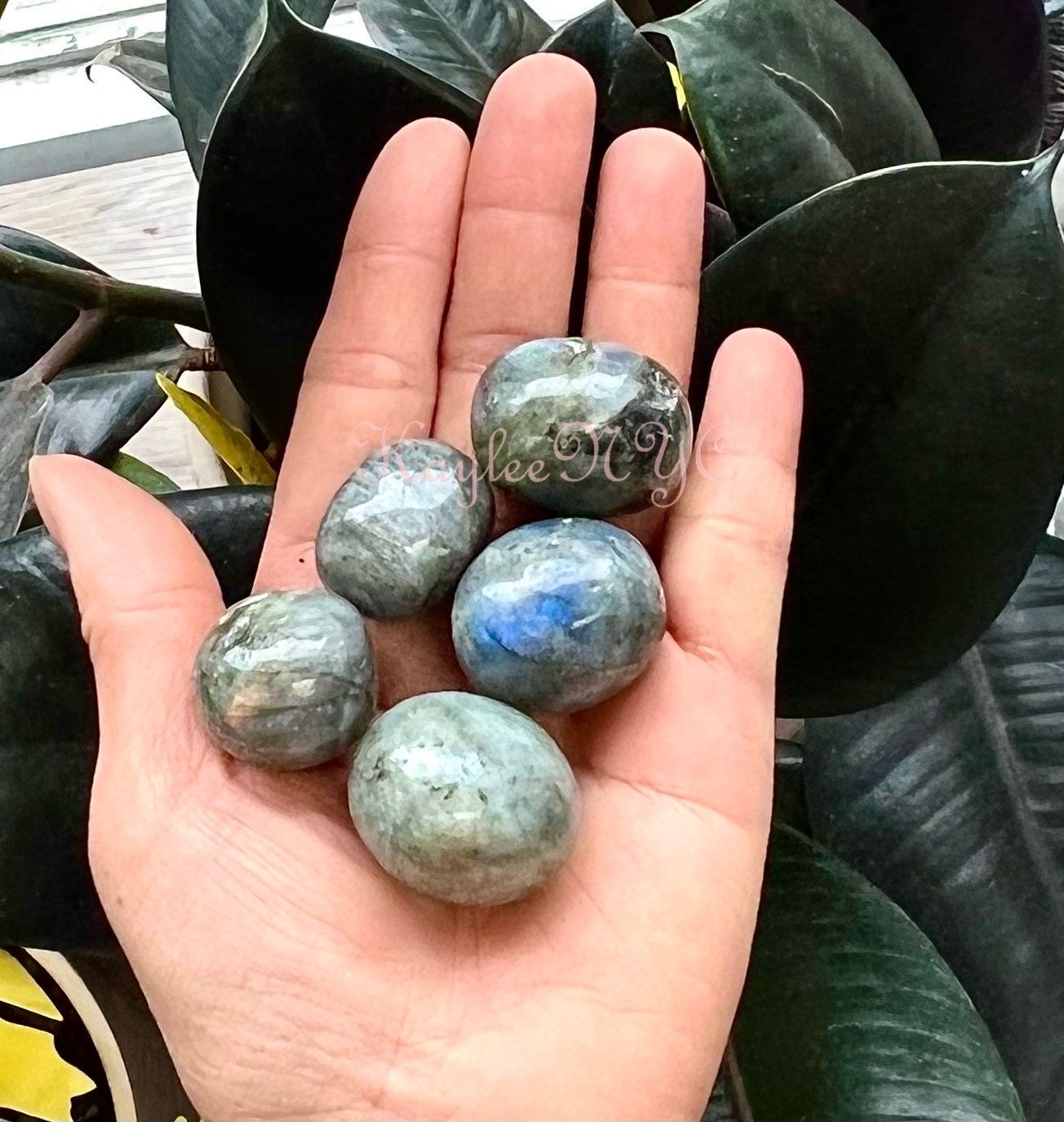 Wholesale Lot 2 Lbs Natural Labradorite Tumble Healing Energy Nice Quality