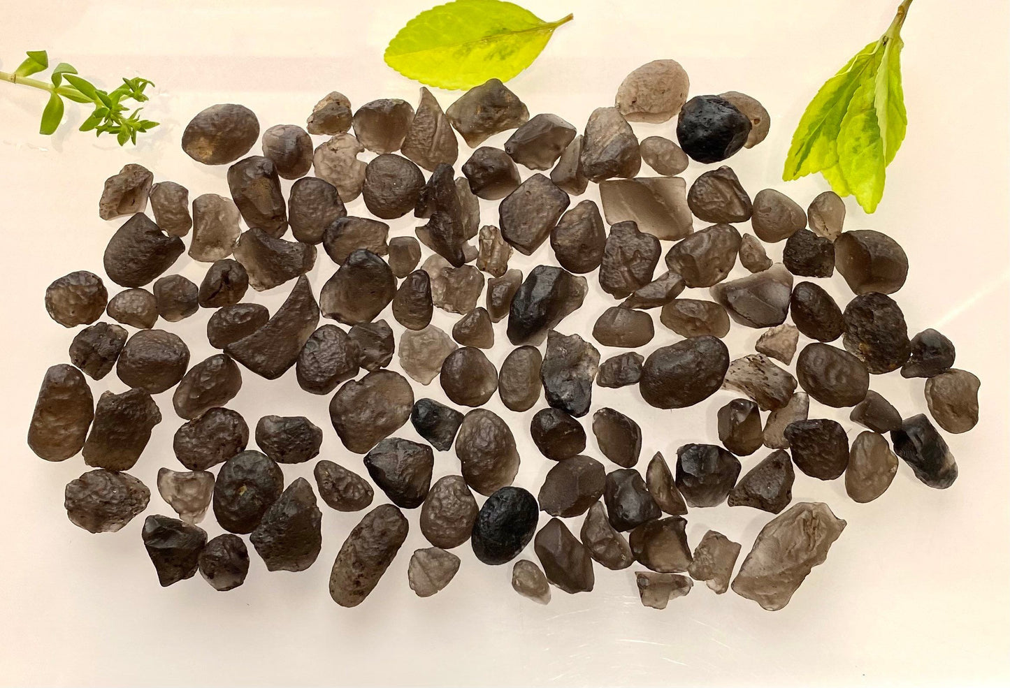 Wholesale Lot Natural Colombianite Colombian Tektite 40 gram 16 to 24 pcs Healing Energy