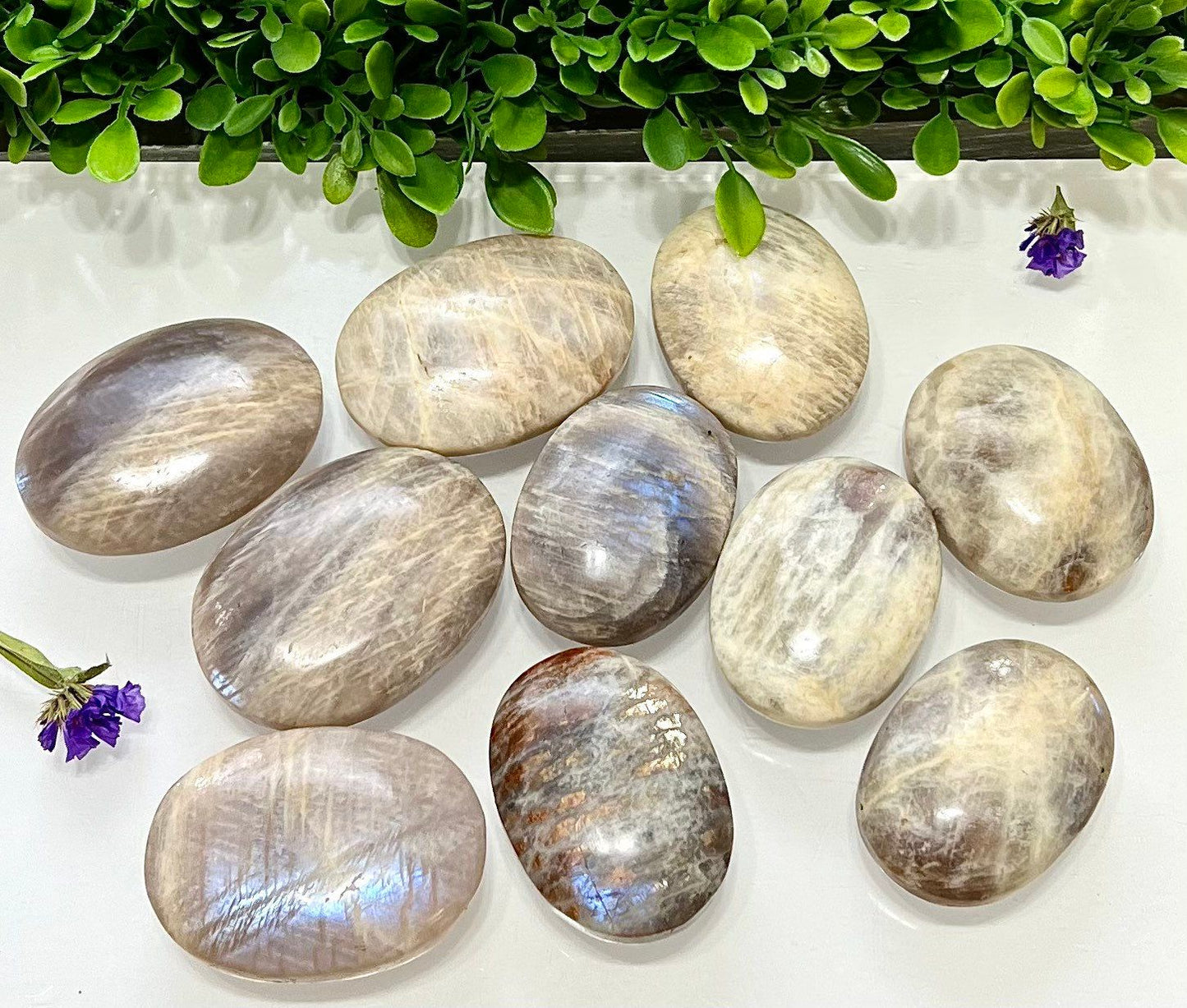 Wholesale Lot 2 Lbs Natural Moonstone Palm Stone Crystal Healing Energy