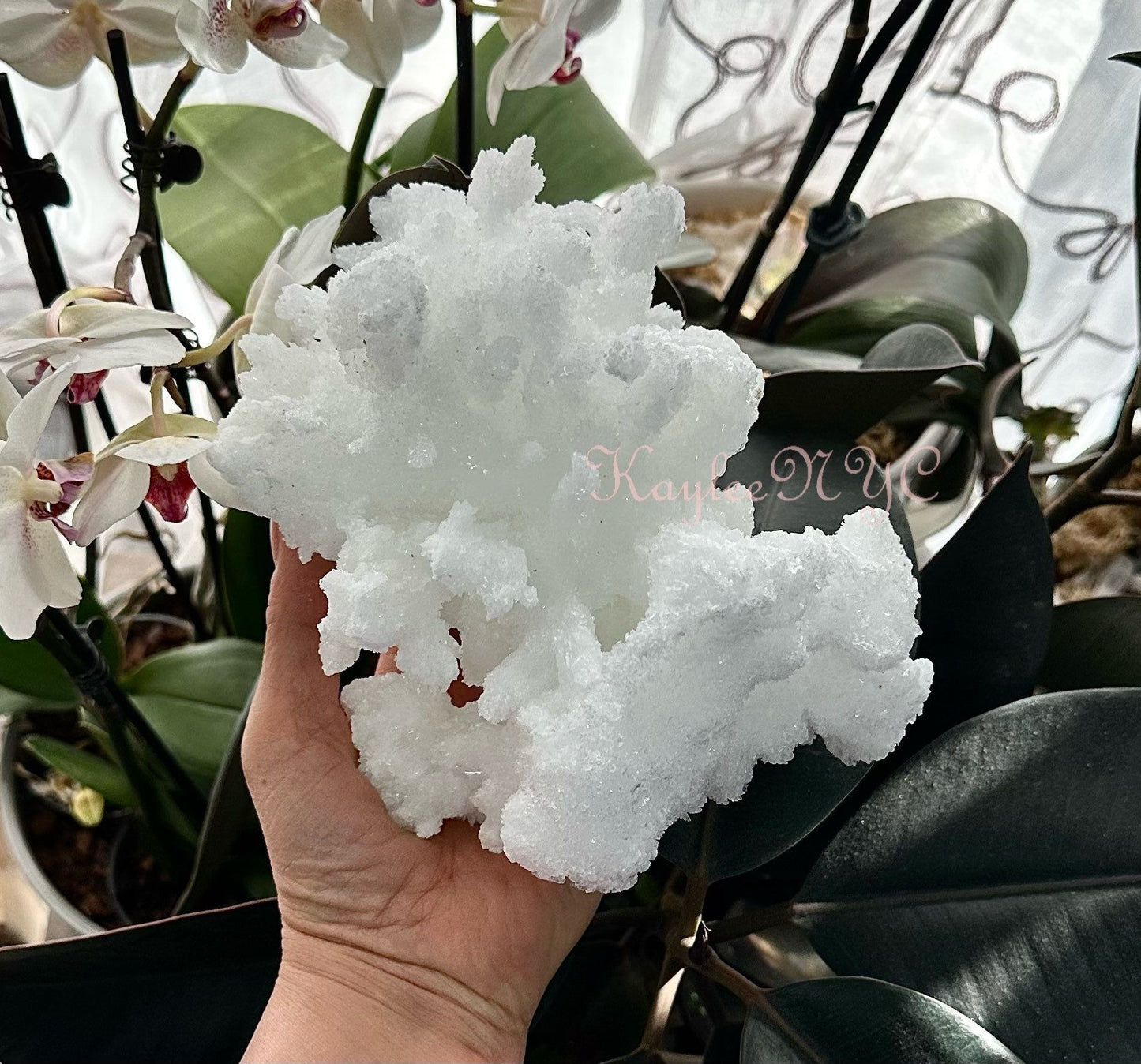 Wholesale Lot 3-4 PCs Natural White Aragonite Cluster Raw Crystal