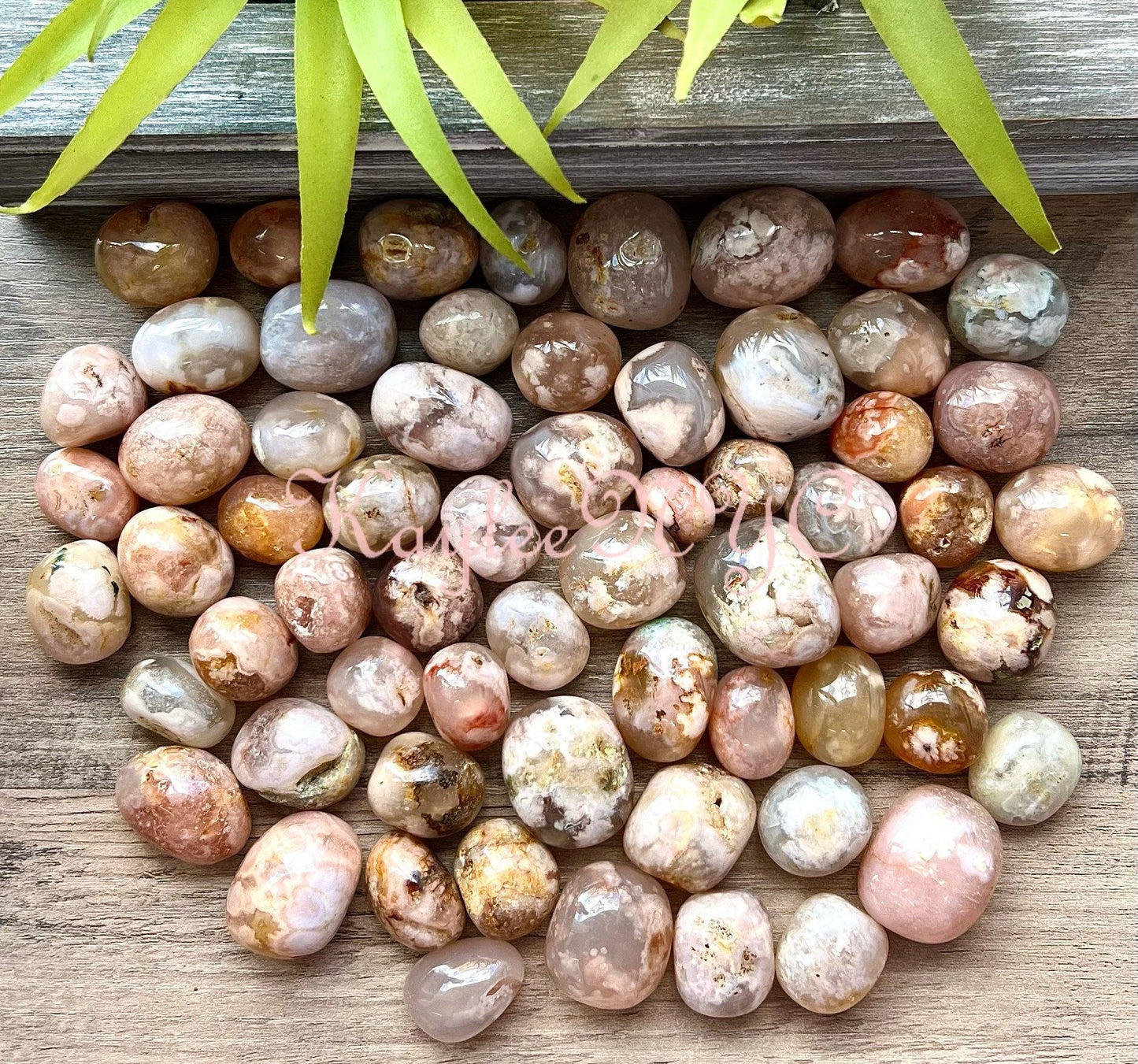 Wholesale Lot 2 Lbs Natural Flower Agate Tumble Healing Energy Nice Quality