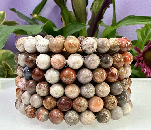 Wholesale 6 Pcs Natural Fossil Coral 8mm 7.5” Crystal Healing Stretch Bracelet