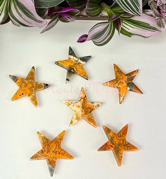 Wholesale Lot 6 PCs Natural Bumblebee Jasper Star Healing Energy