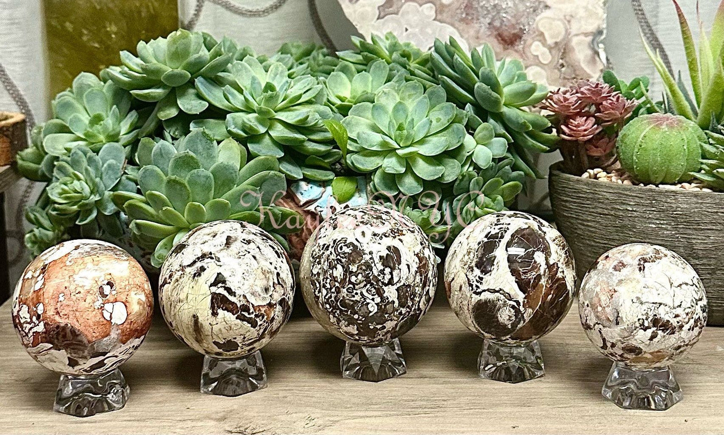 Wholesale Lot 4 to 5 Pcs Natural Money Agate Sphere Crystal Ball 2.8 to 3 lbs Nice Quality Healing