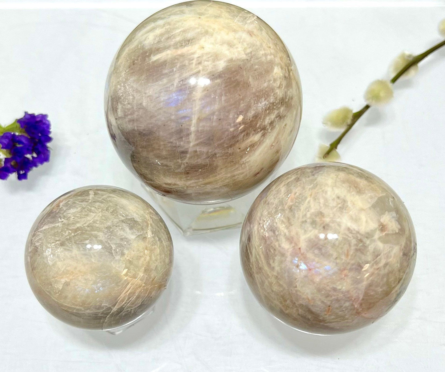 Wholesale Lot 2-3 Pcs Natural Moonstone Spheres Crystal Ball 1.9-2 Lb Healing Energy