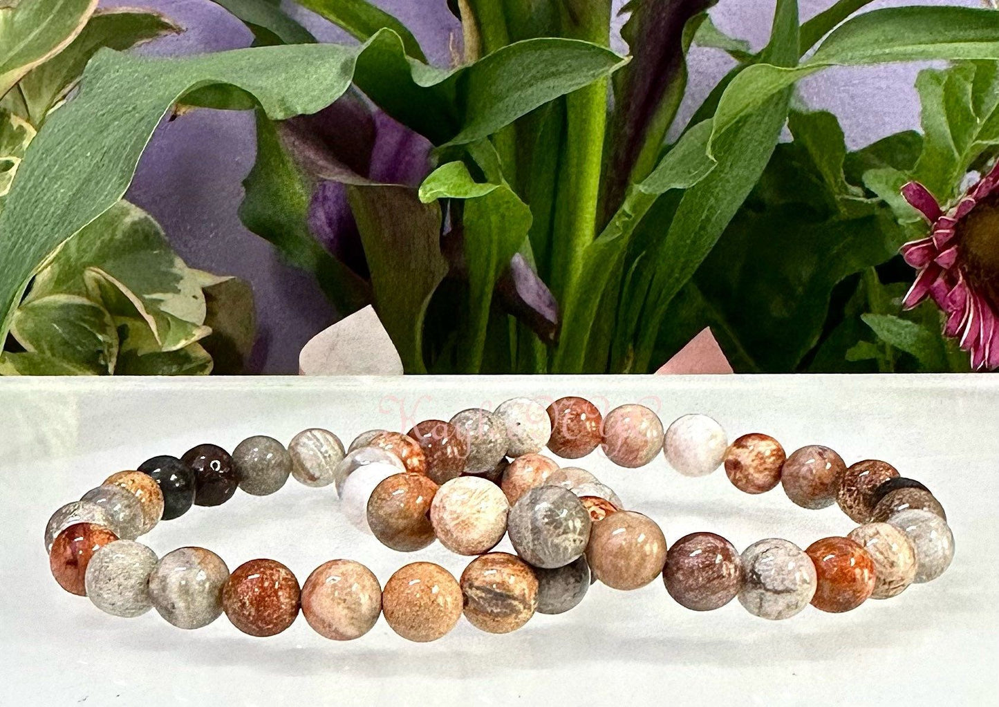 Wholesale 6 Pcs Natural Fossil Coral 8mm 7.5” Crystal Healing Stretch Bracelet