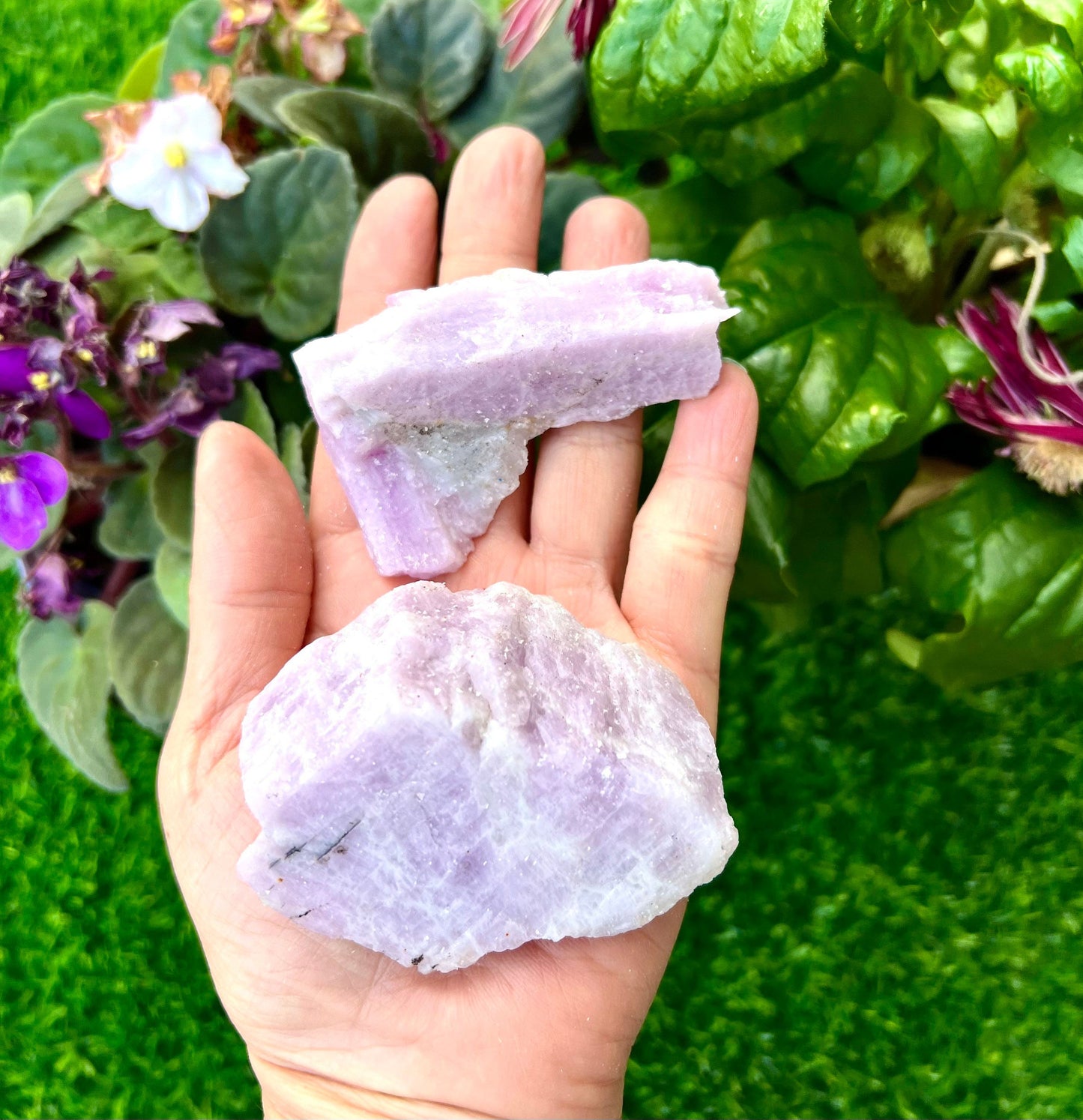 Wholesale Lot 2 lb Natural Kunzite Crystal Raw Nice Quality