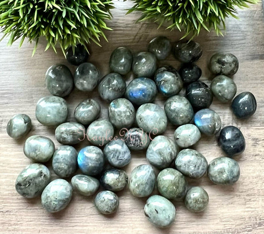 Wholesale Lot 2 Lbs Natural Labradorite Tumble Healing Energy Nice Quality